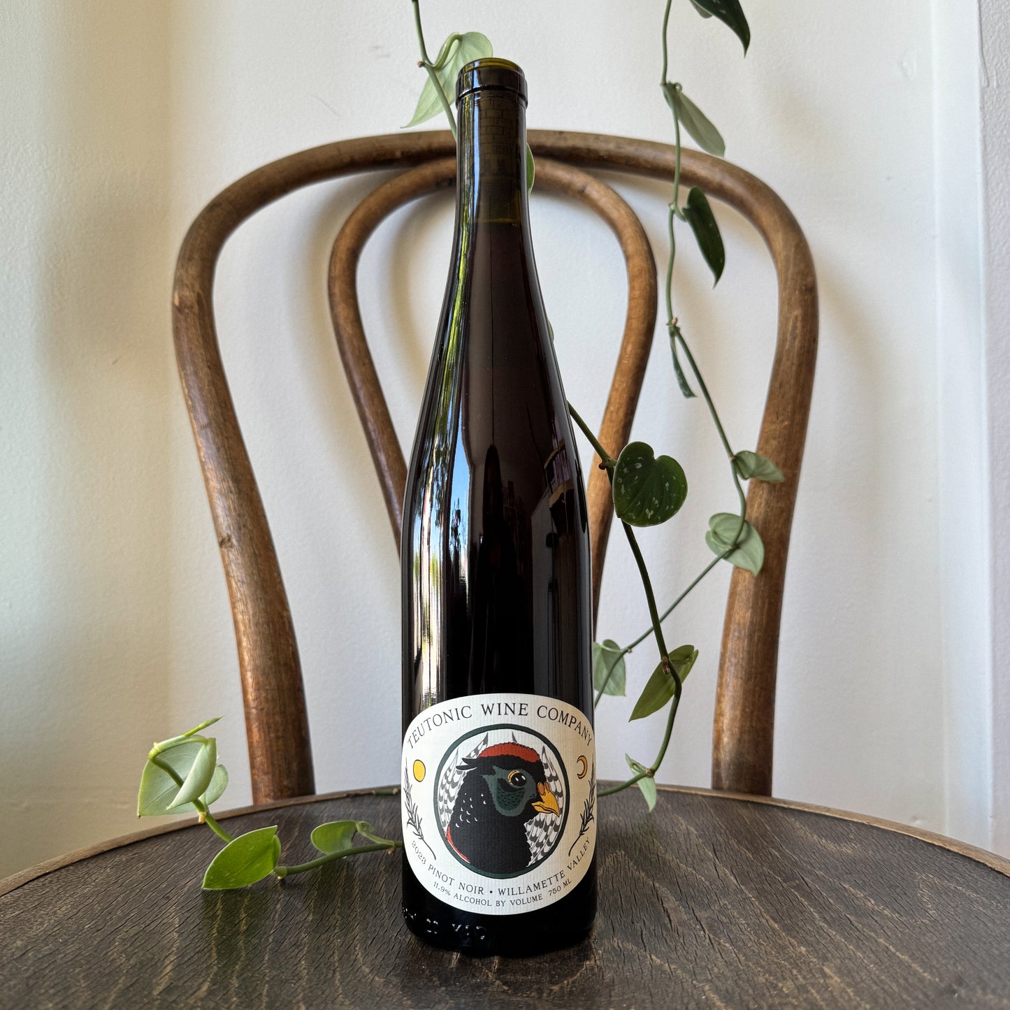 Teutonic Pinot Noir Willamette Valley 2023