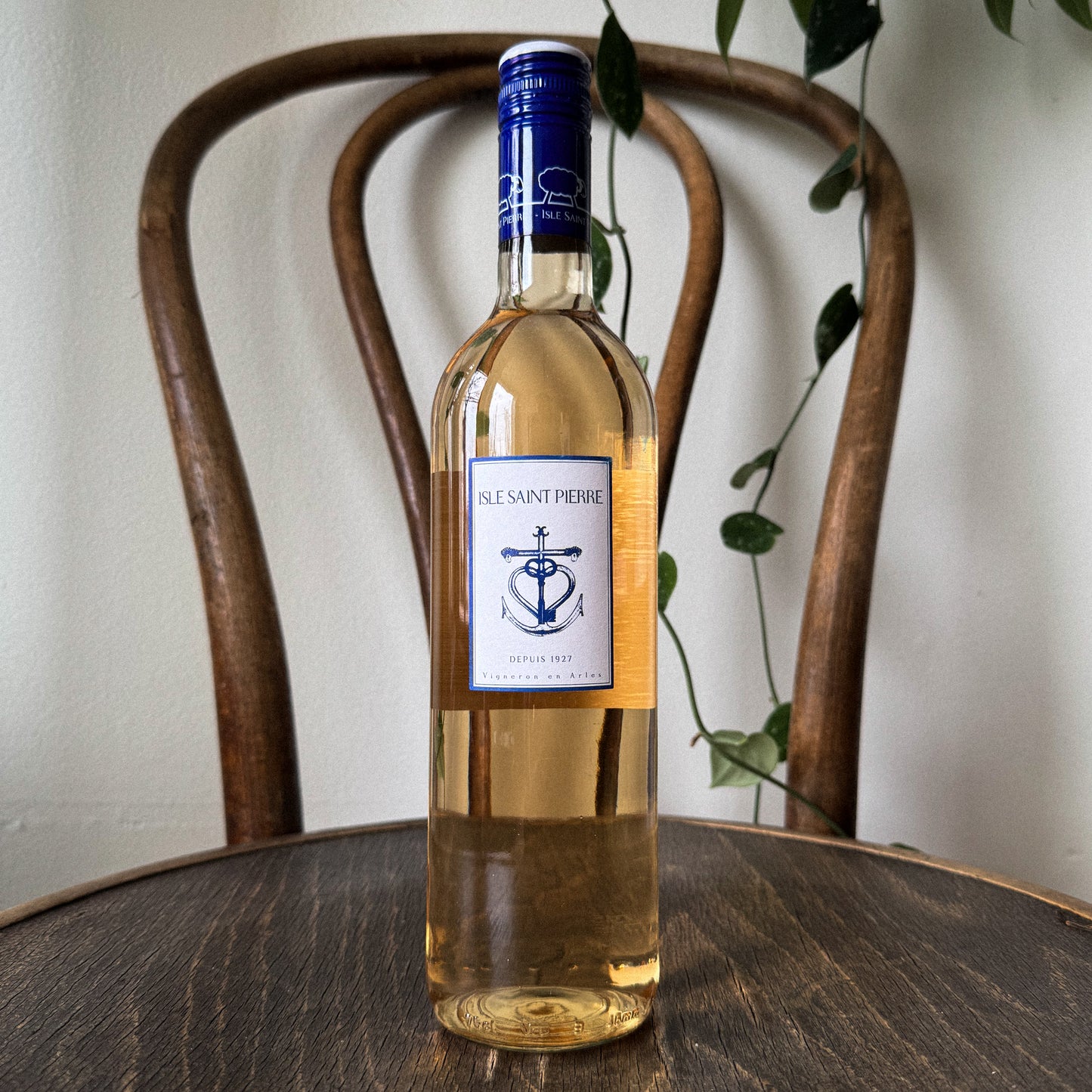 Isle Saint-Pierre Rose 2024