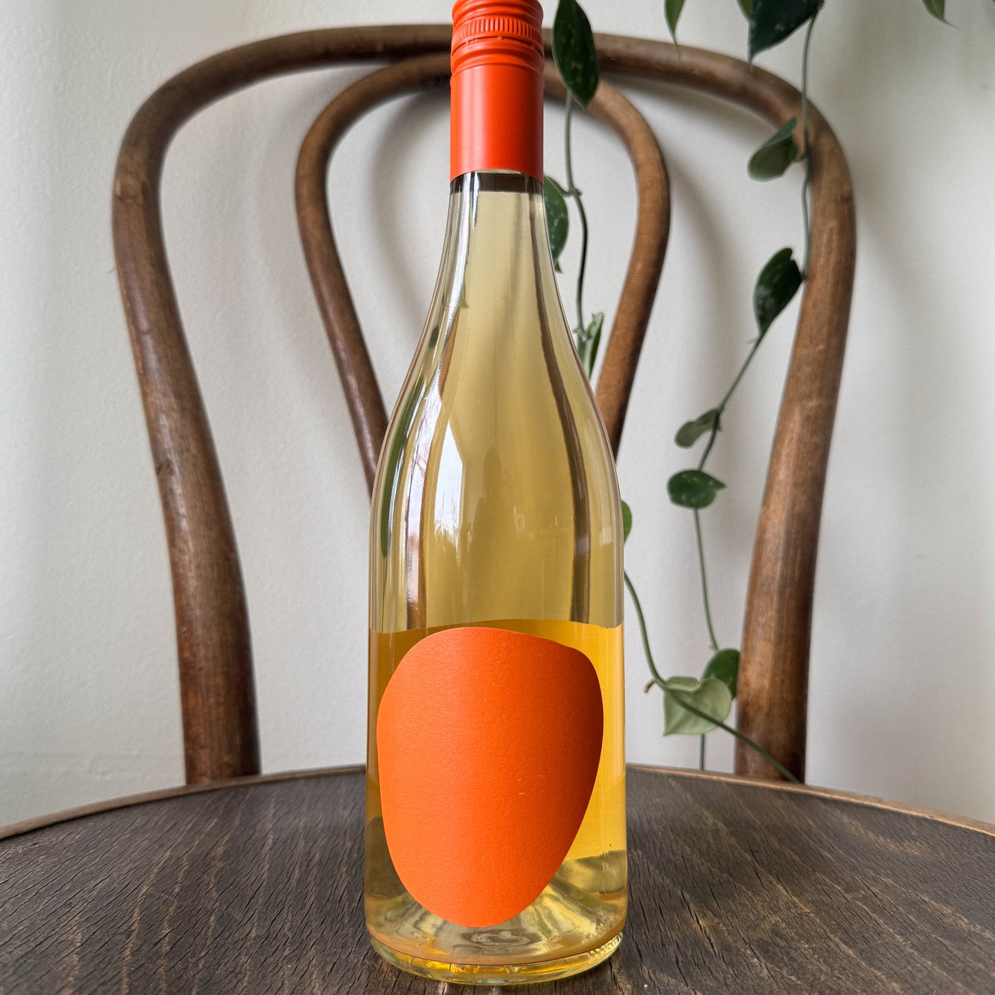 Muller-Ruprecht Orange 2024