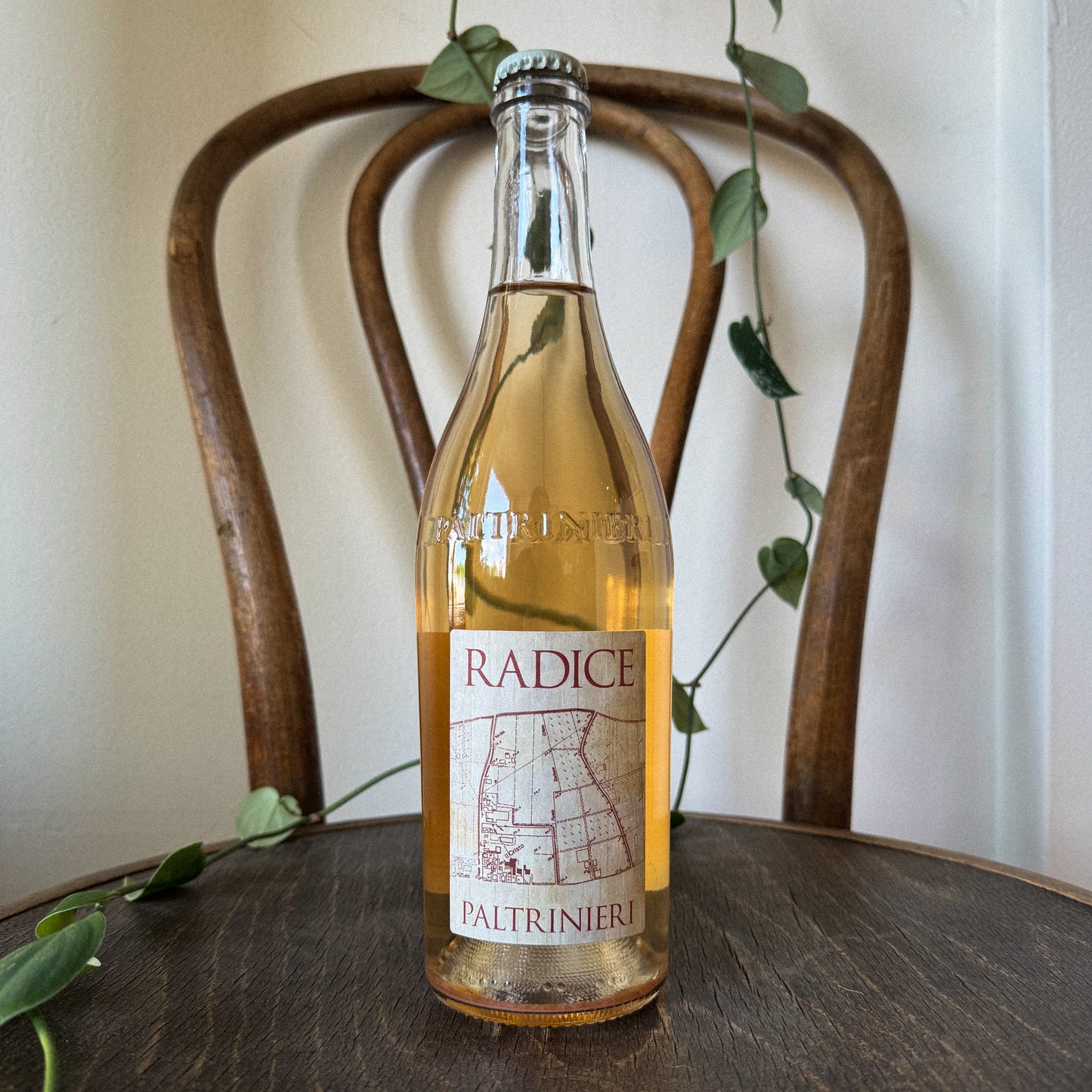 Paltrinieri Lambrusco di Sorbara Radice Rosato 2024