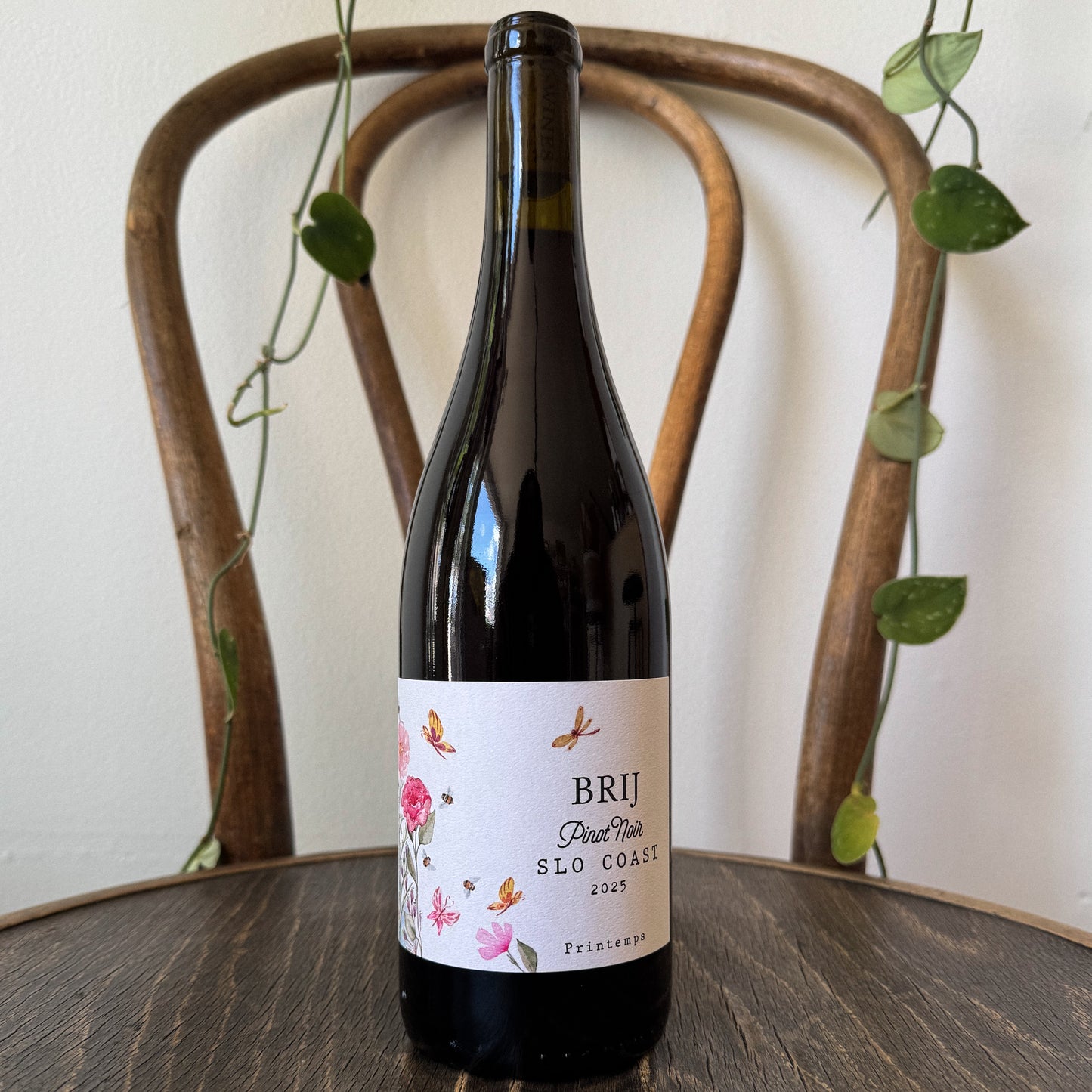 Brij Pinot Noir San Luis Obispo 2025