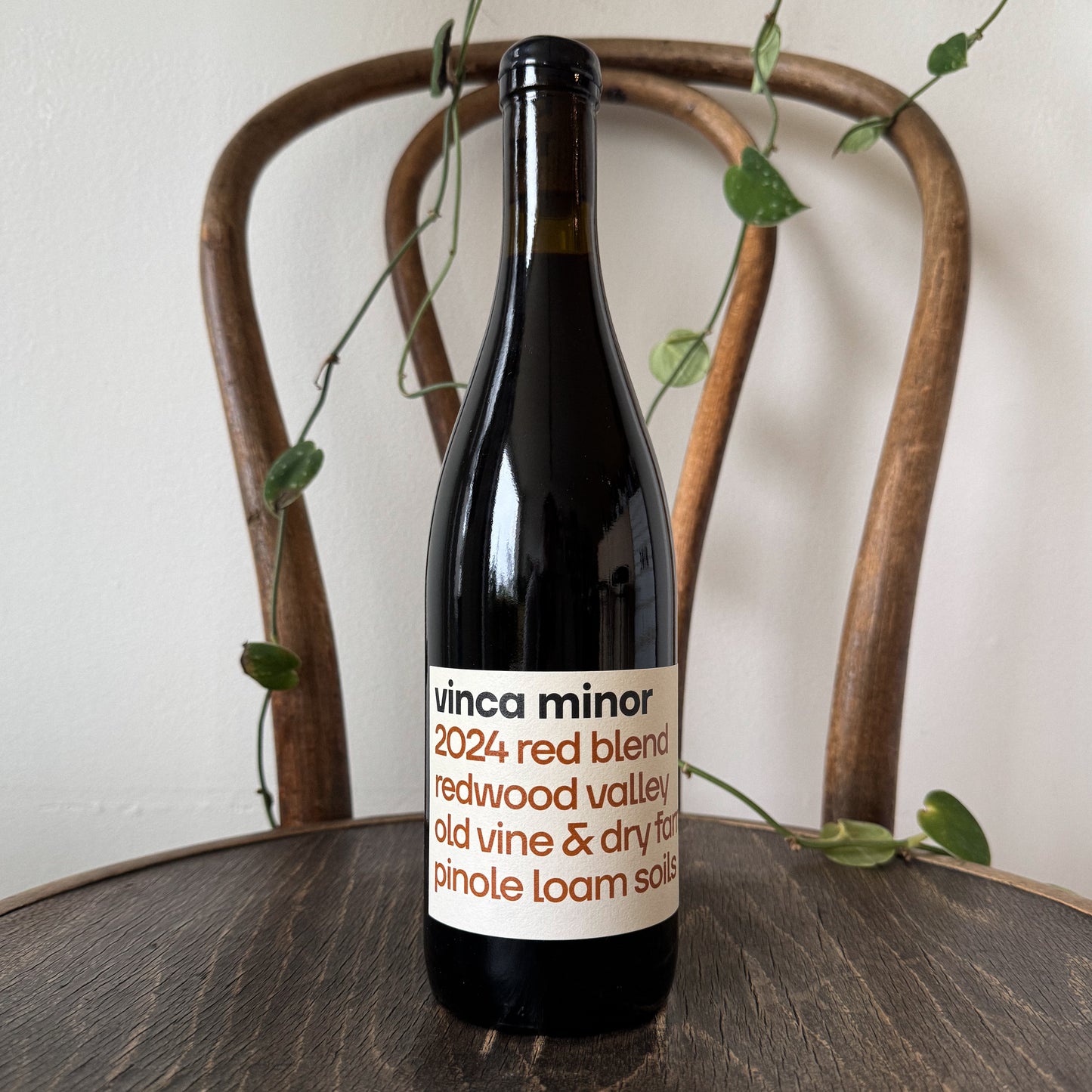 Vinca Minir Red Blend 2024