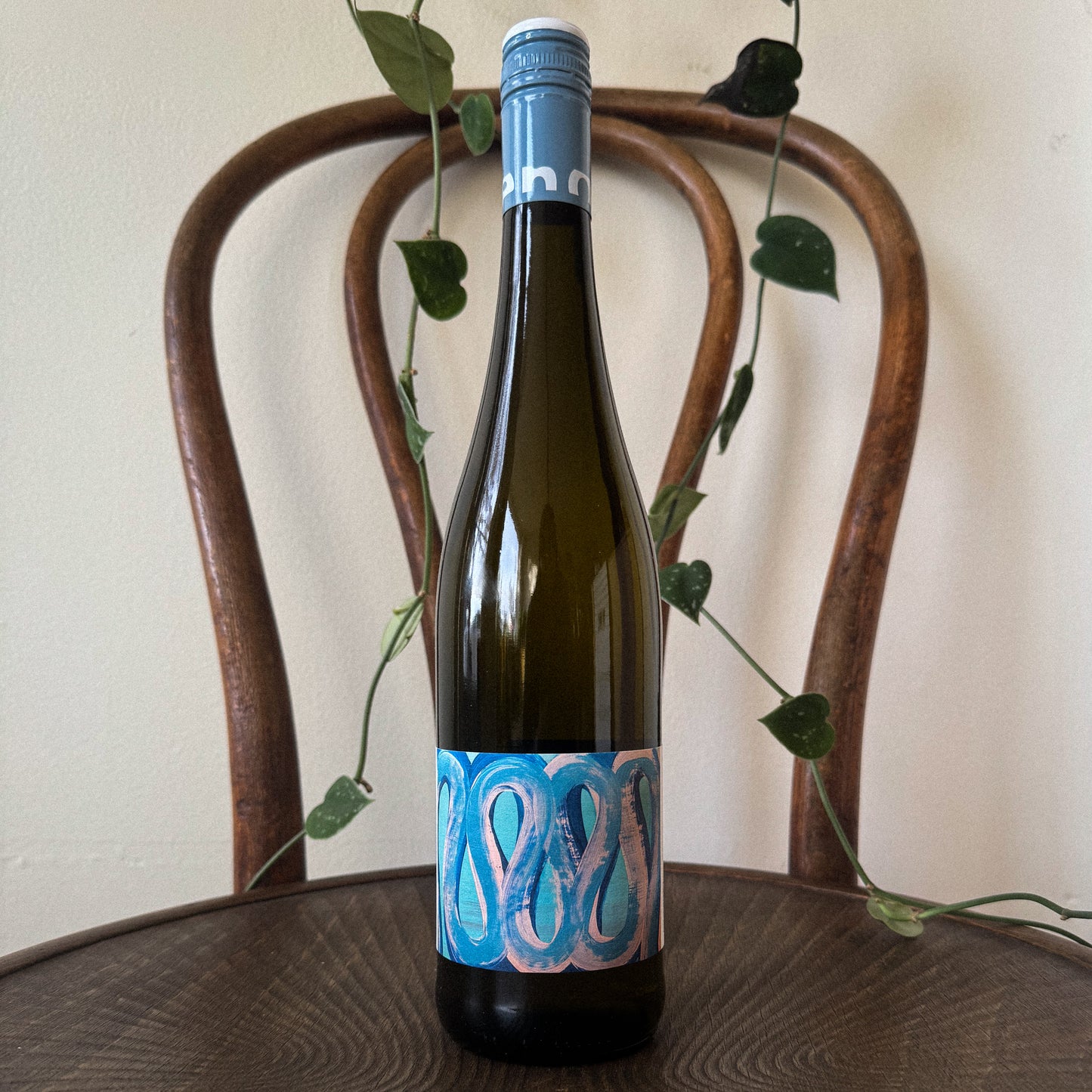 Seehof Rheinhessen Riesling Feinherb 2024