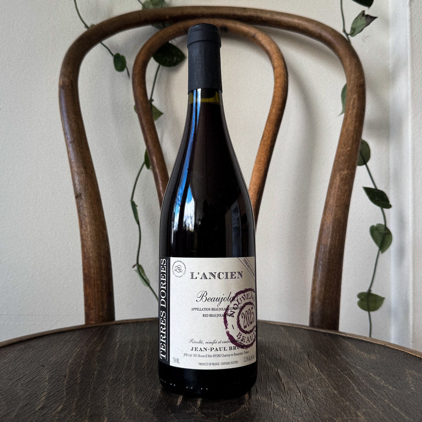 Terres Dorees Beaujolais Nouveau 2025