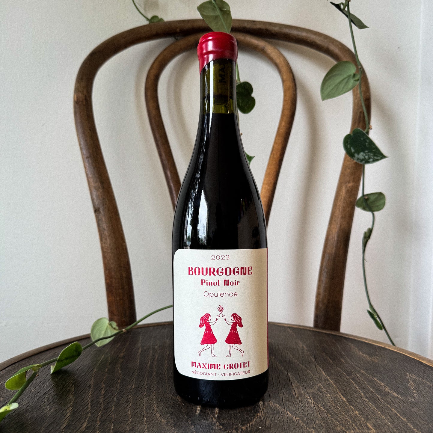 Maxime Crotet Opulence Pinot Noir 2023