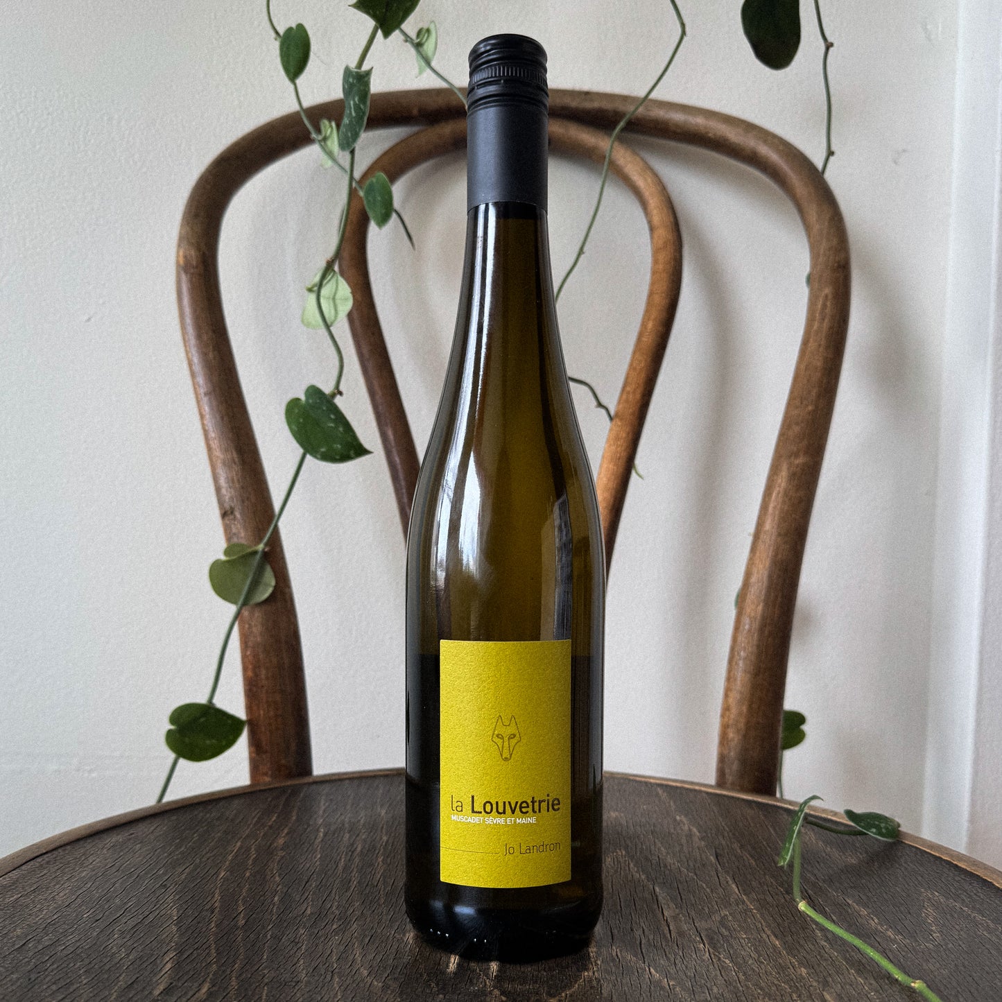Jo Landron Muscadet Sevre et Maine Sur Lie La Louvetrie 2024