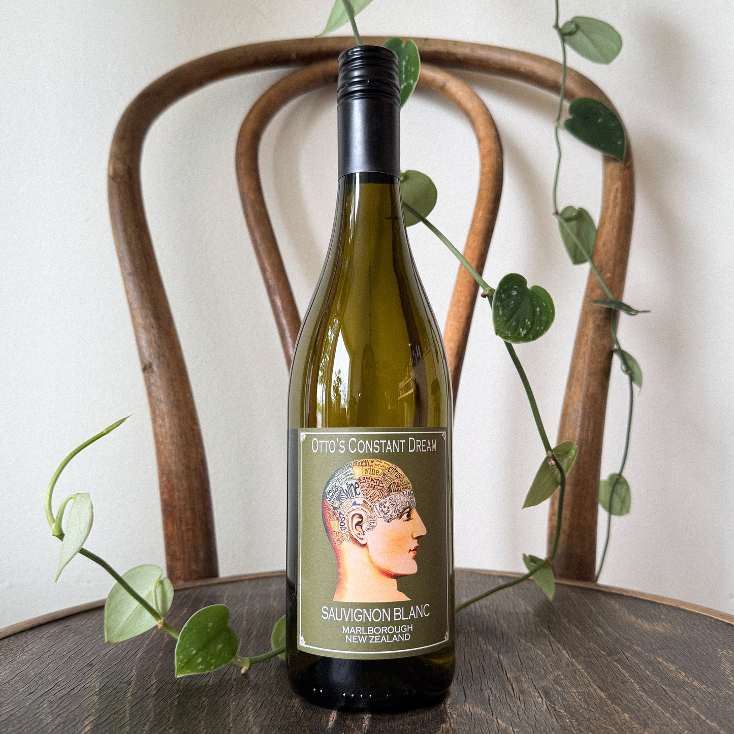 Otto's Constant Dream Marlborough Sauvignon Blanc 2024
