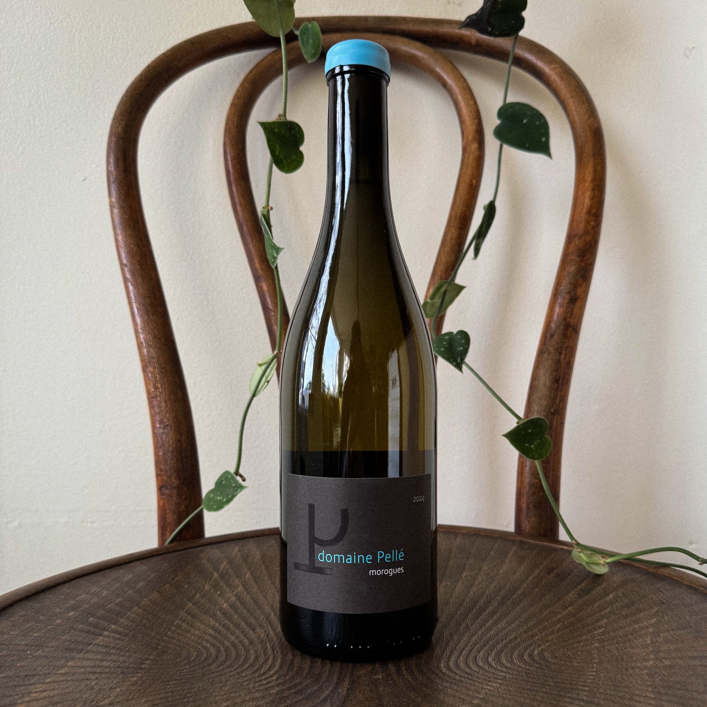 Pelle Menetou-Salon Sauvignon Blanc 2024