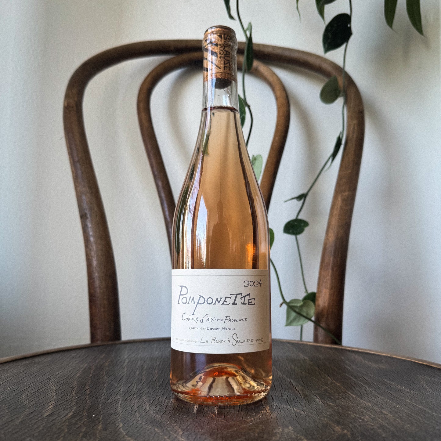 Sulauze Pomponette Rose 2025