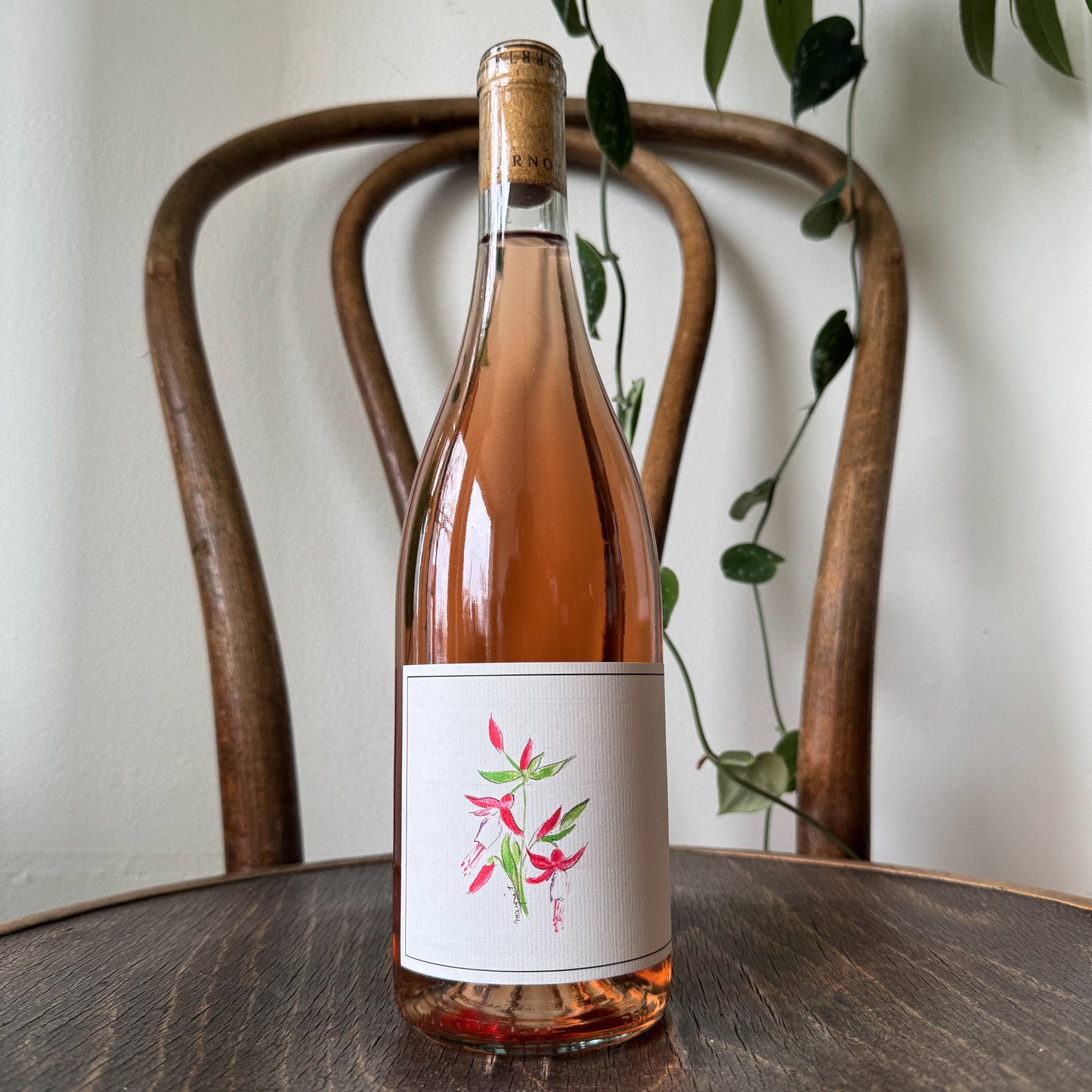 Arnot Roberts Rose 2024