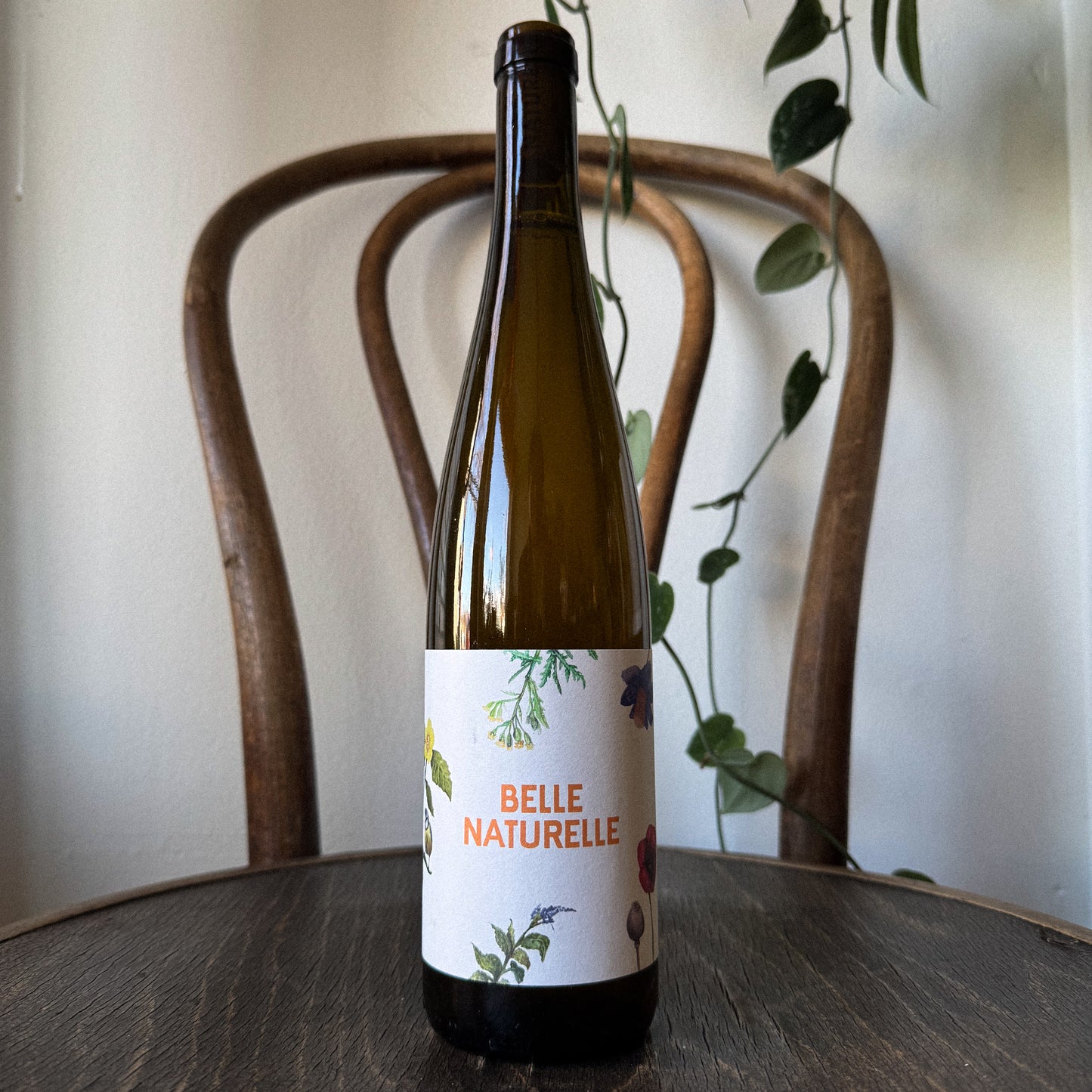 Jurtschitsch Gruner Veltliner Belle Naturelle 2024