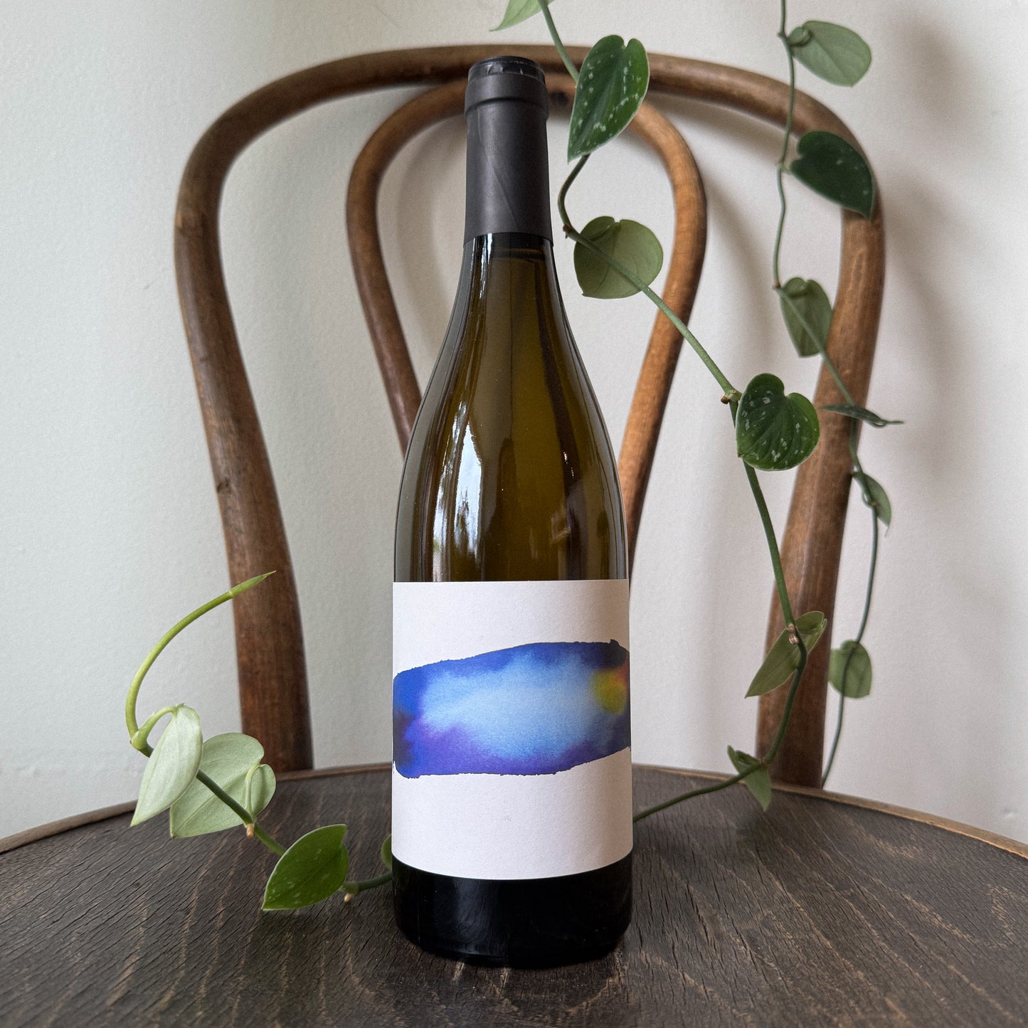 THOMAS BATARDIÈRE - CHENIN BLANC LES COCUS 2021