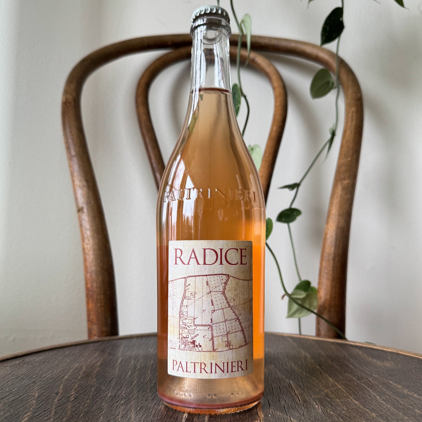 Paltrinieri Lambrusco di Sorbara Radice Rosato 2023