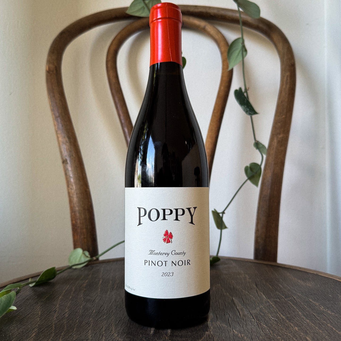 Poppy Pinot Noir Monterey County 2023