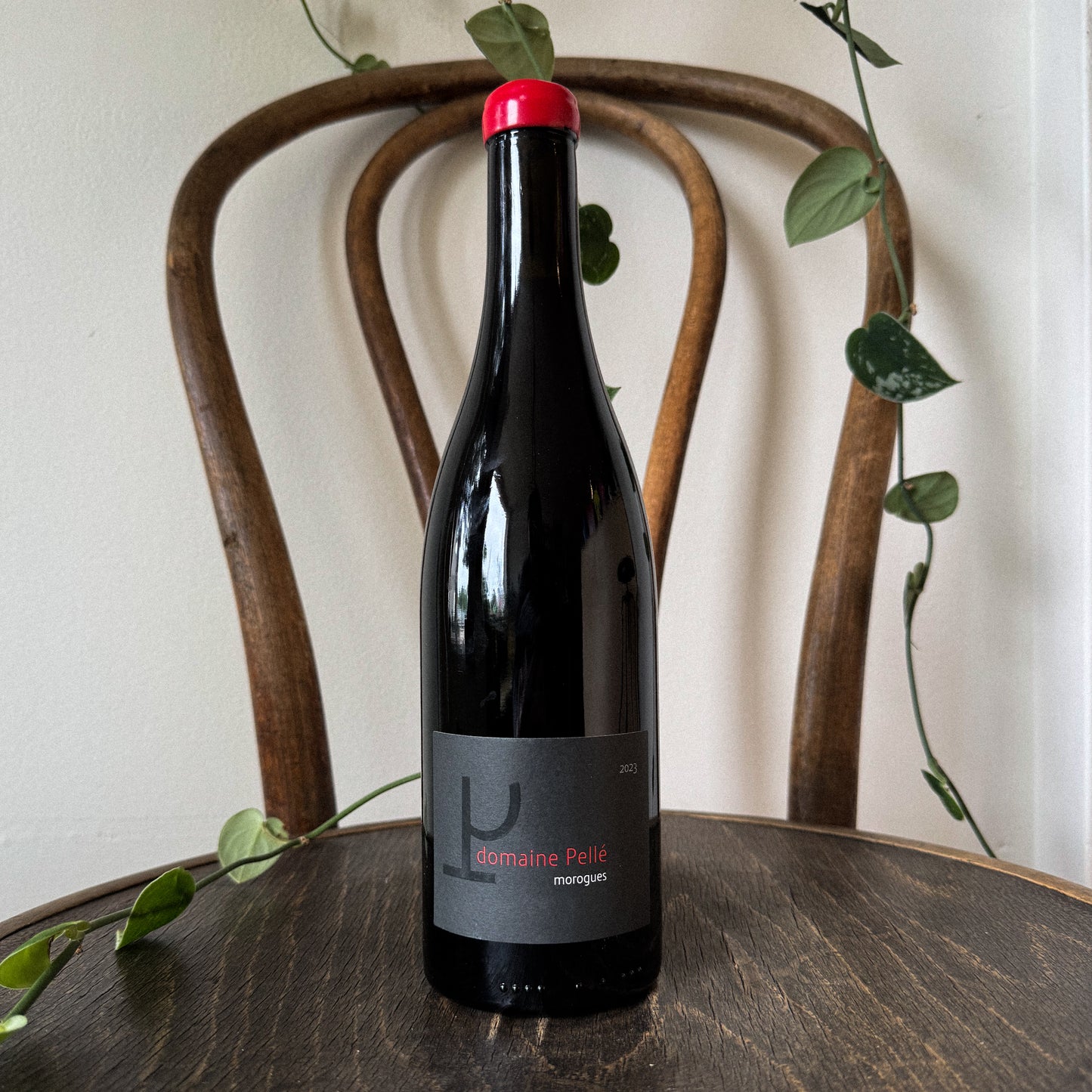 Pelle Menetou-Salon Rouge 2023