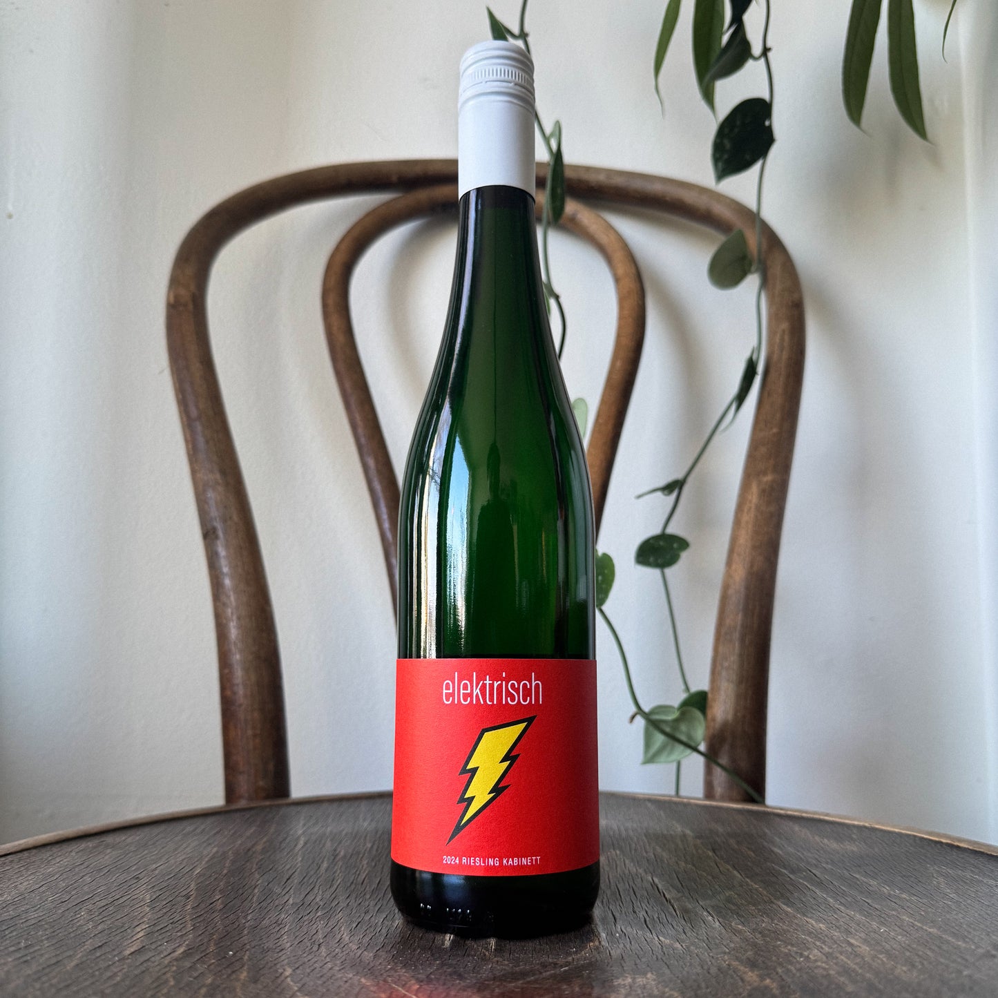 Seehof Elektrisch Riesling Kabinett 2024