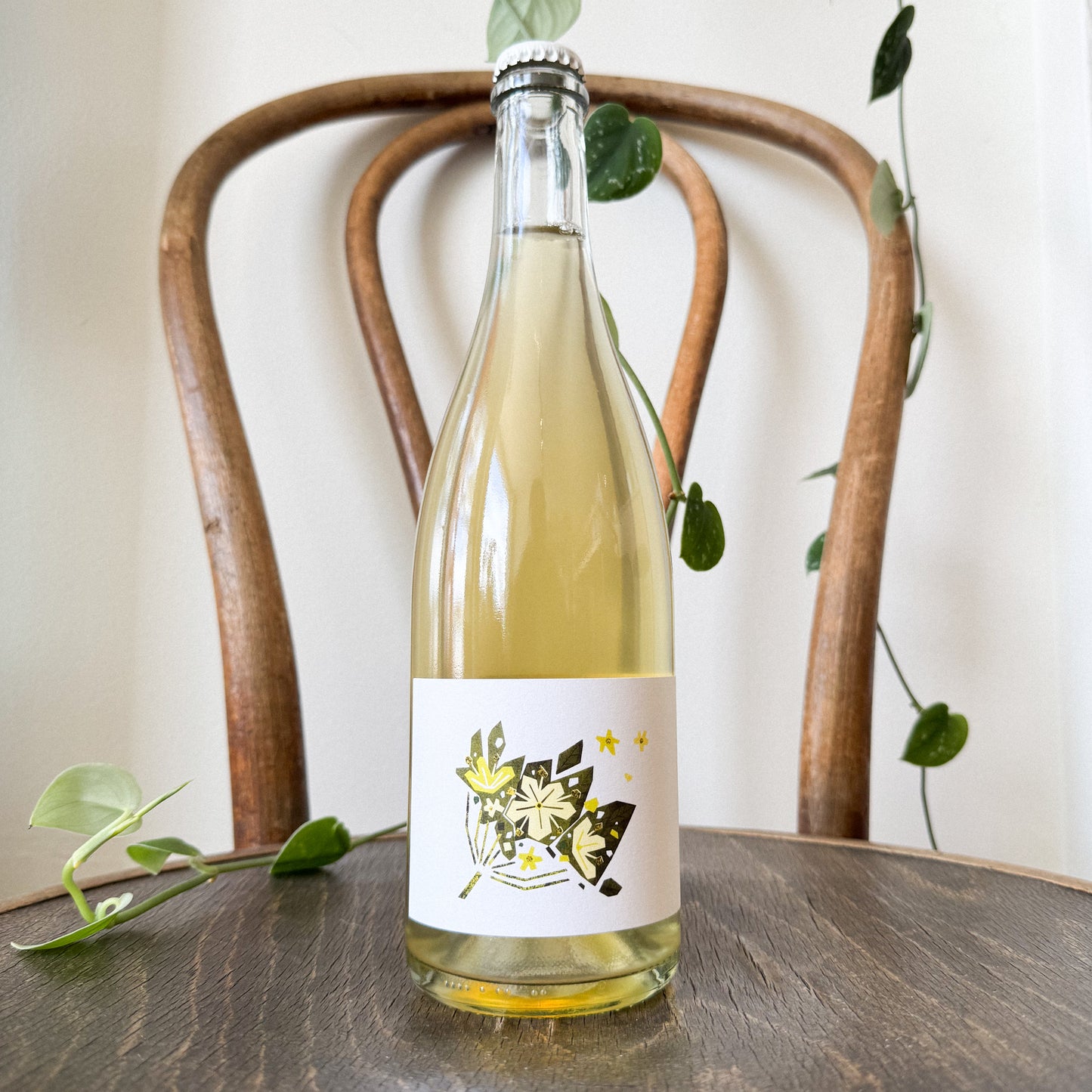 Julie Hoch Elderflower