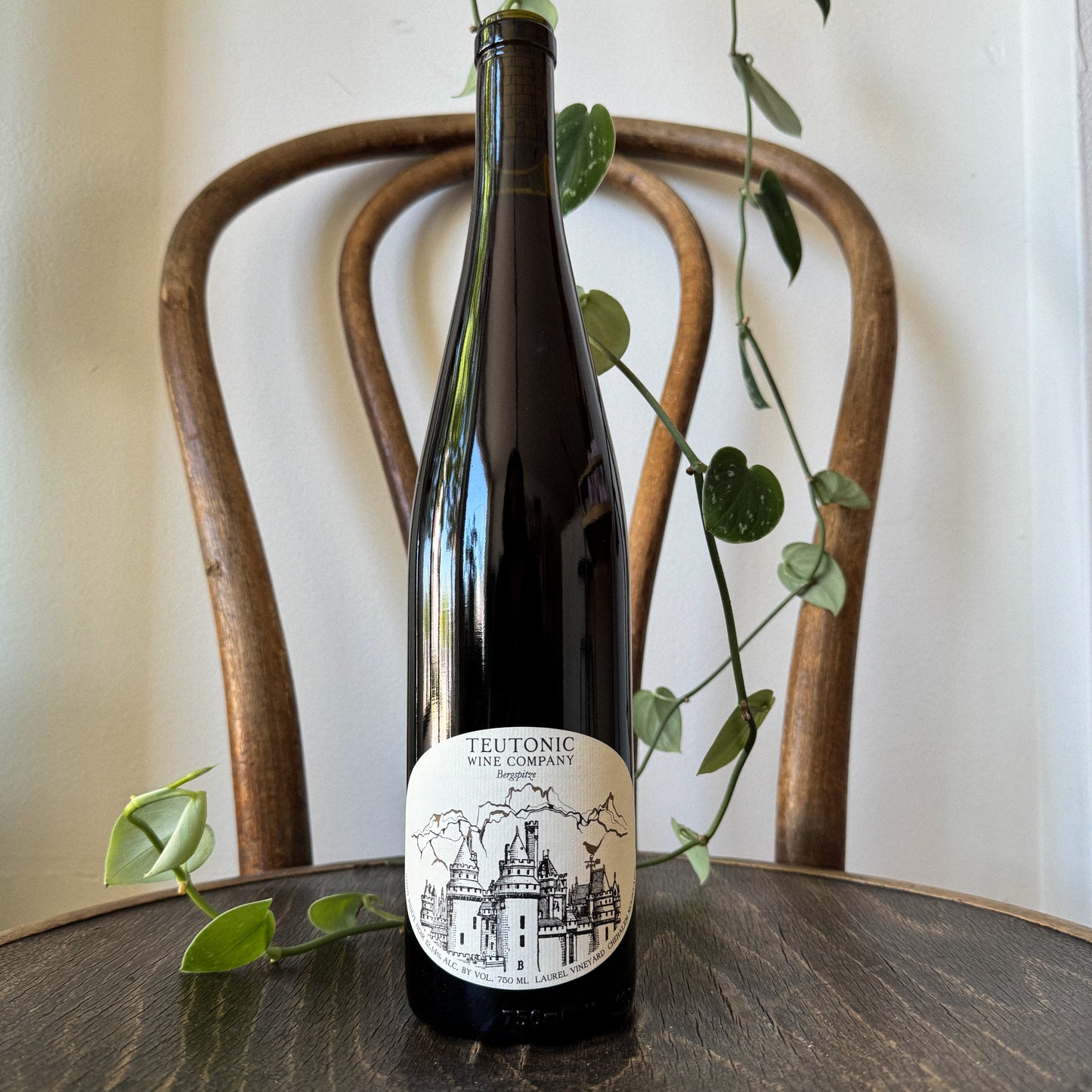 Teutonic Bergspitze Pinot Noir 2023