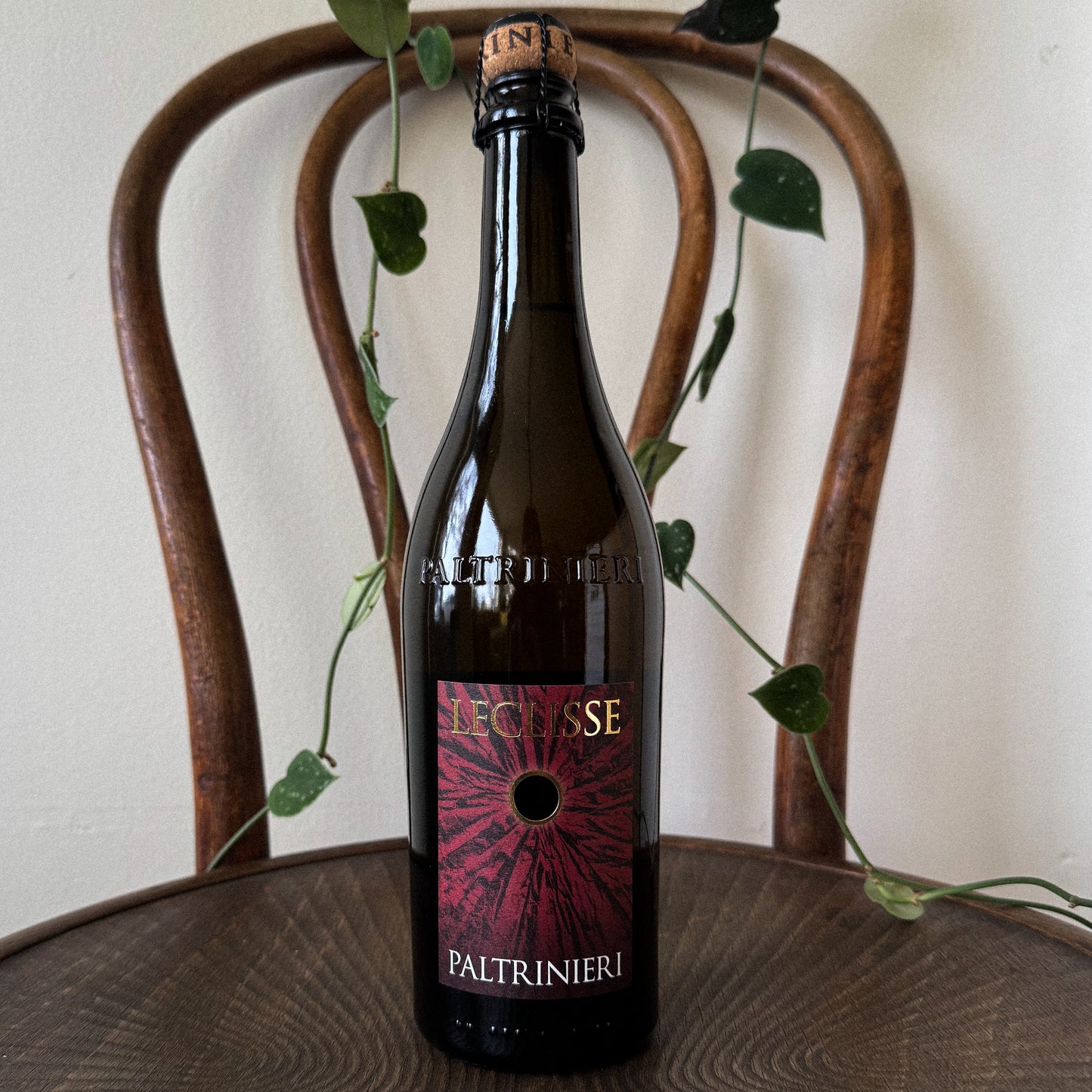 Paltrinieri Lambrusco di Sorbara Leclisse 2024