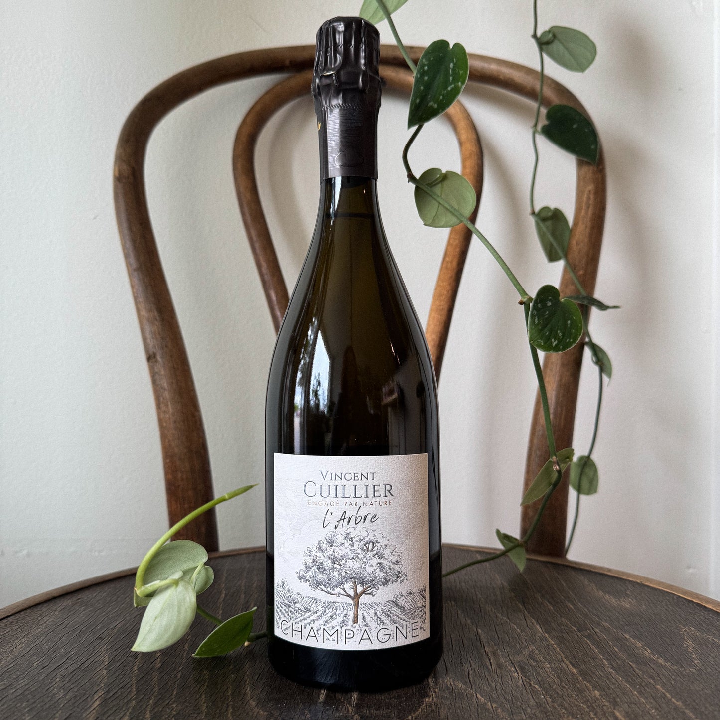 Vincent Cuillier L'Arbre Blanc de Noirs Champagne Brut Nature NV