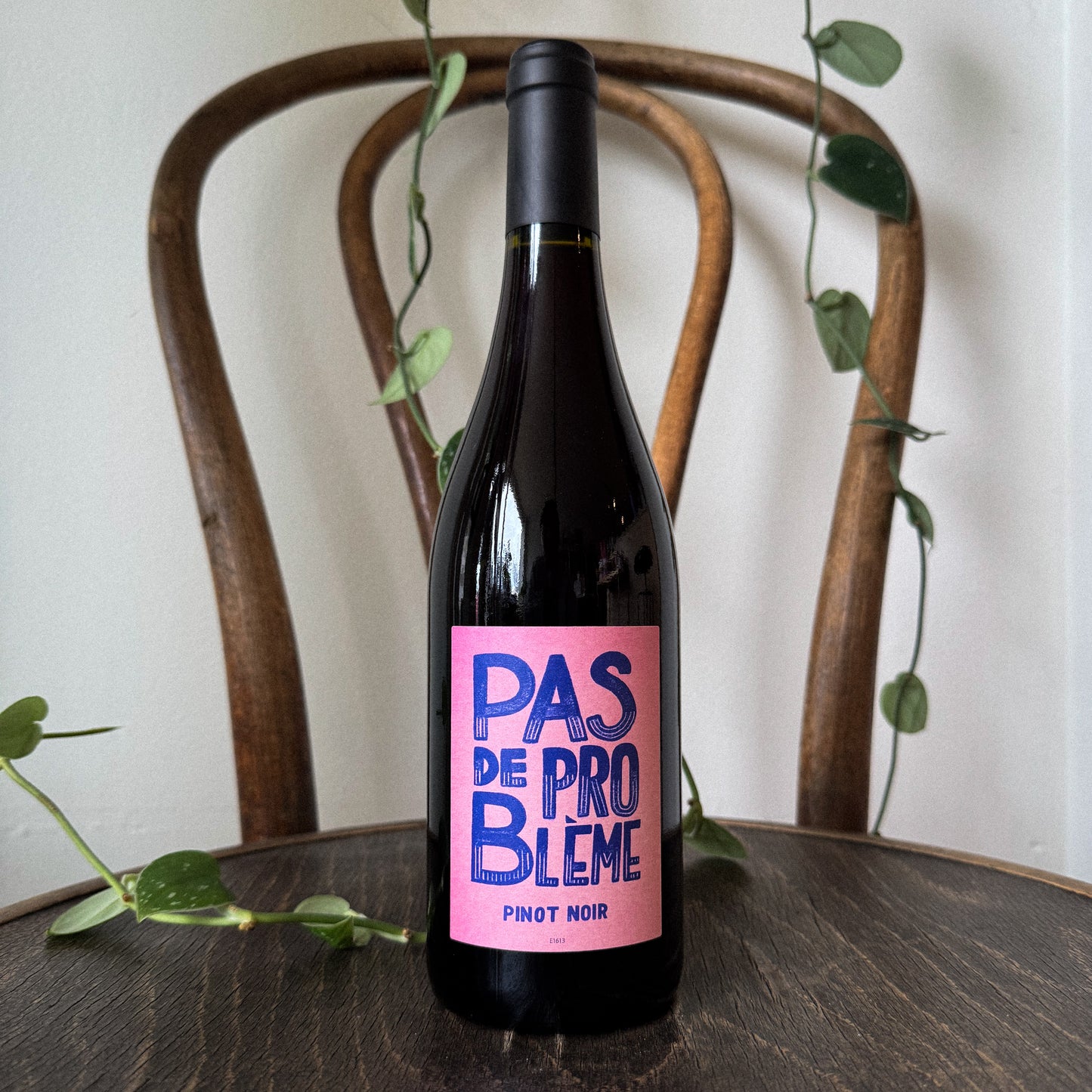 Pas de Probleme Pinot Noir 2023