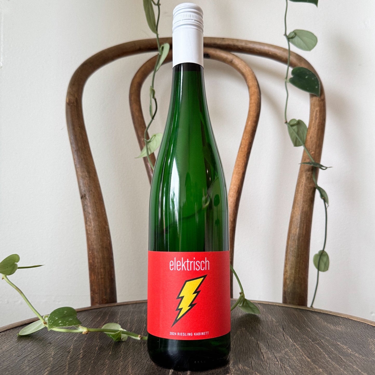 Seehof Elektrisch Riesling Kabinett 2024