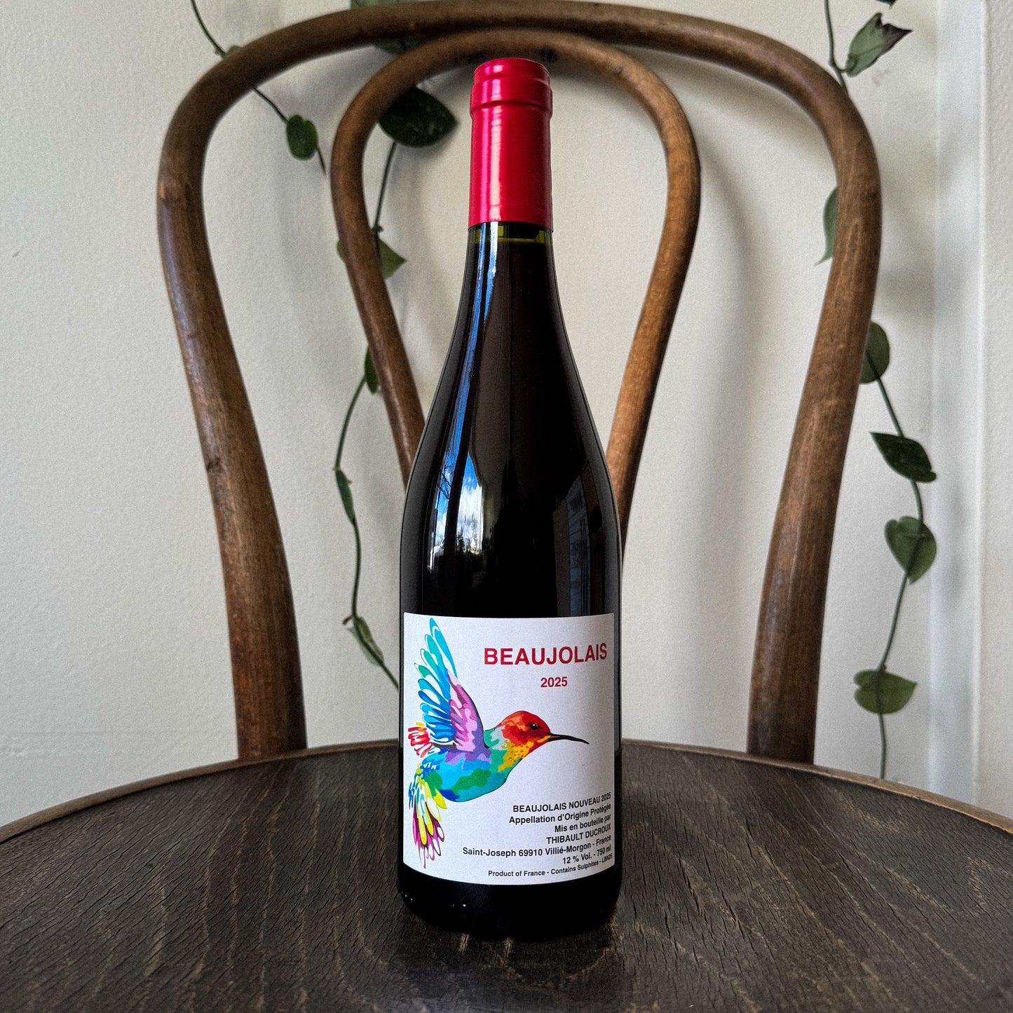 Thibault Ducroux Beaujolais Nouveau 2025