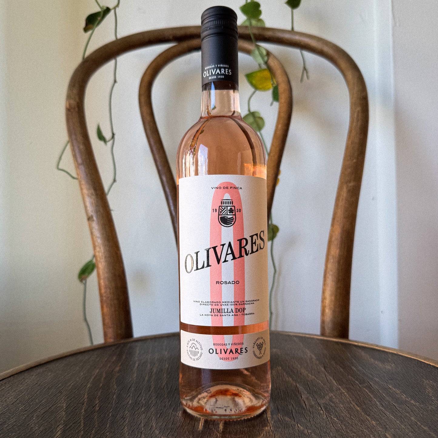 Olivares Rosado 2025