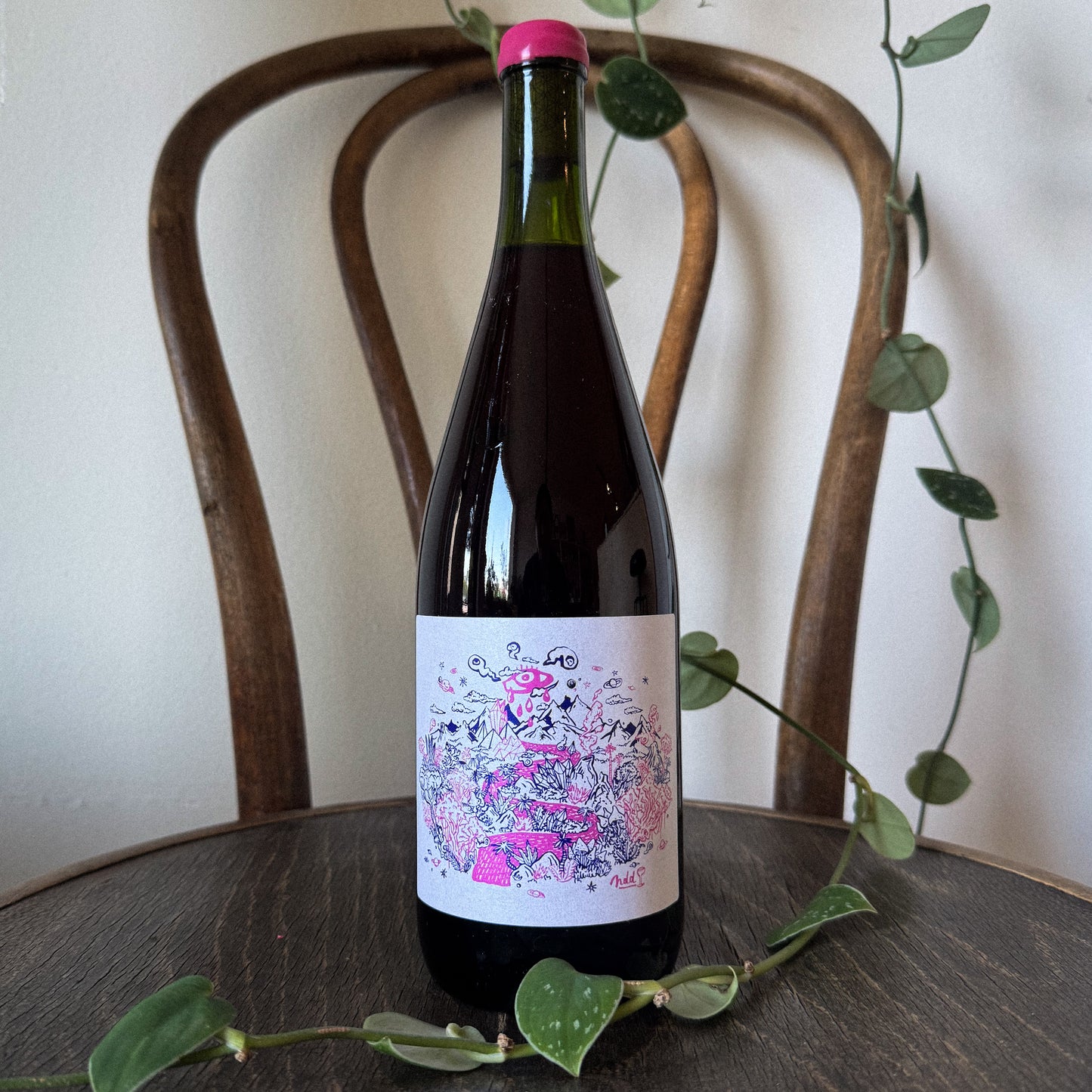 Fabien Jouves Nectar Des Dieux VDF Red 2024