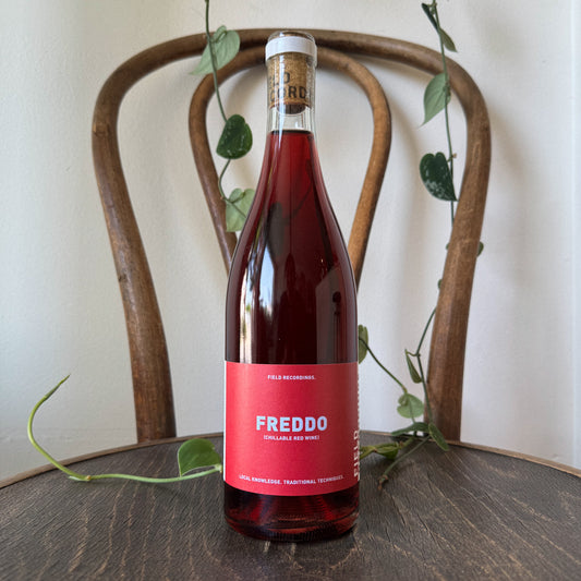 Field Recordings Freddo 2024
