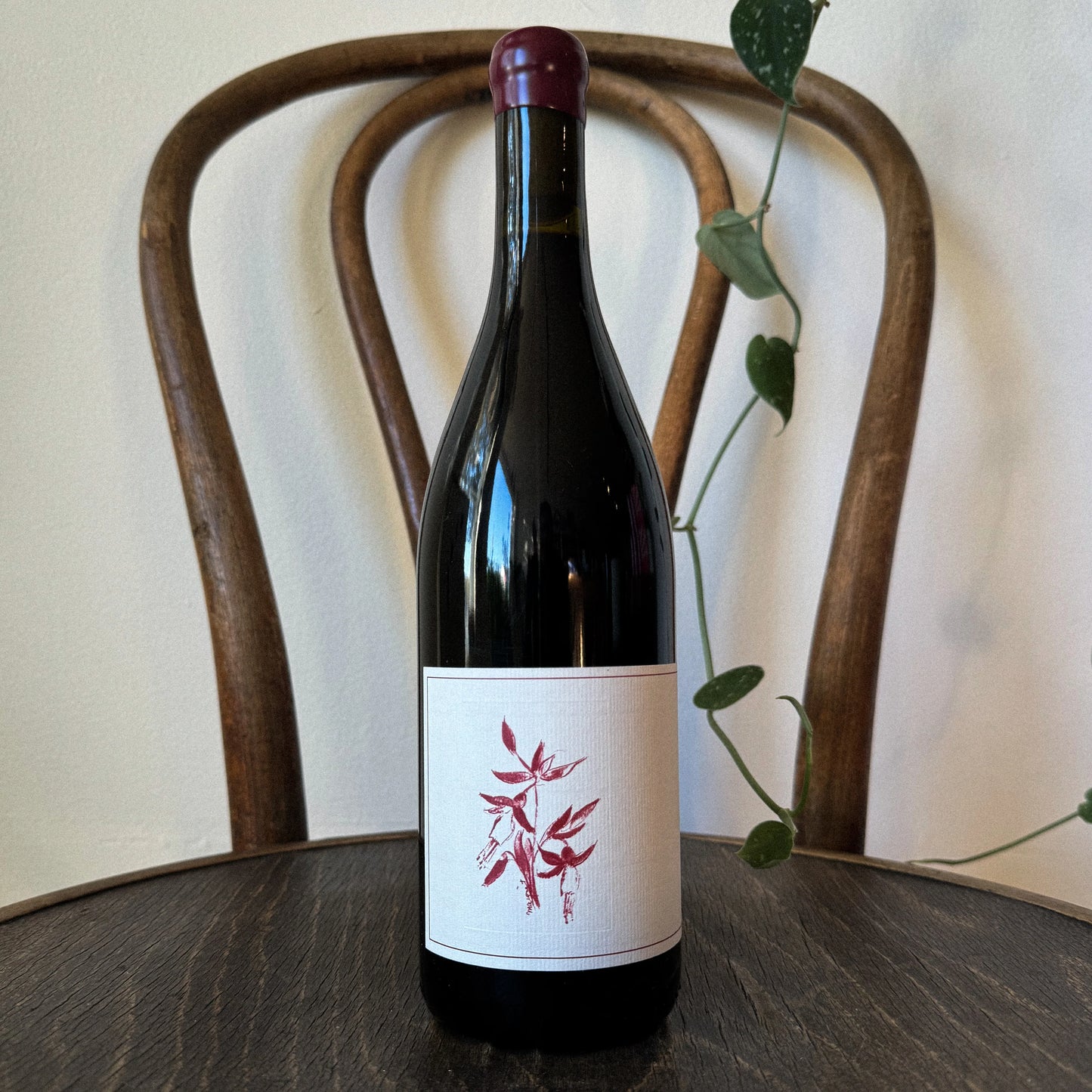 Arnot-Roberts Syrah Sonoma Coast 2023