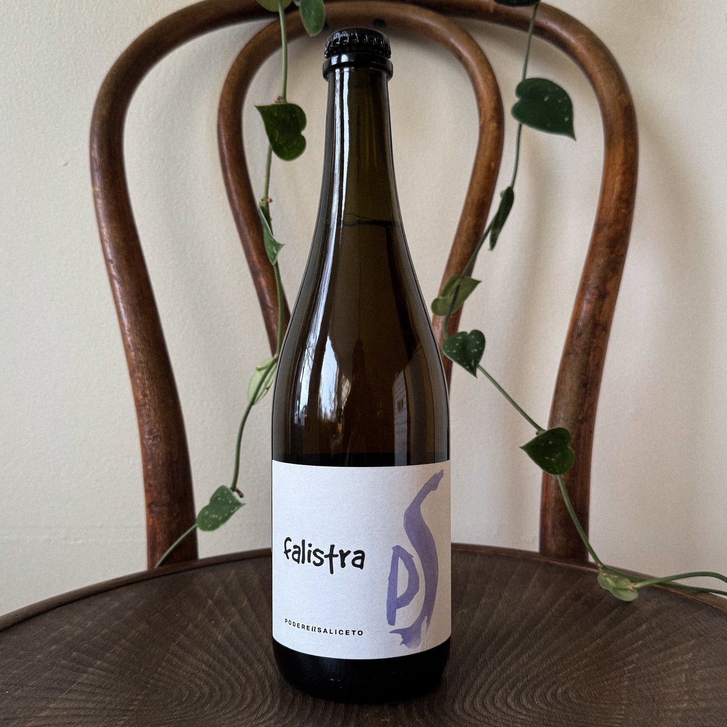 Podere il Saliceto Falistra Lambrusco di Sorbara 2024