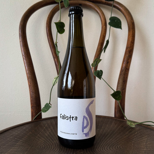 Podere il Saliceto Falistra Lambrusco di Sorbara 2024