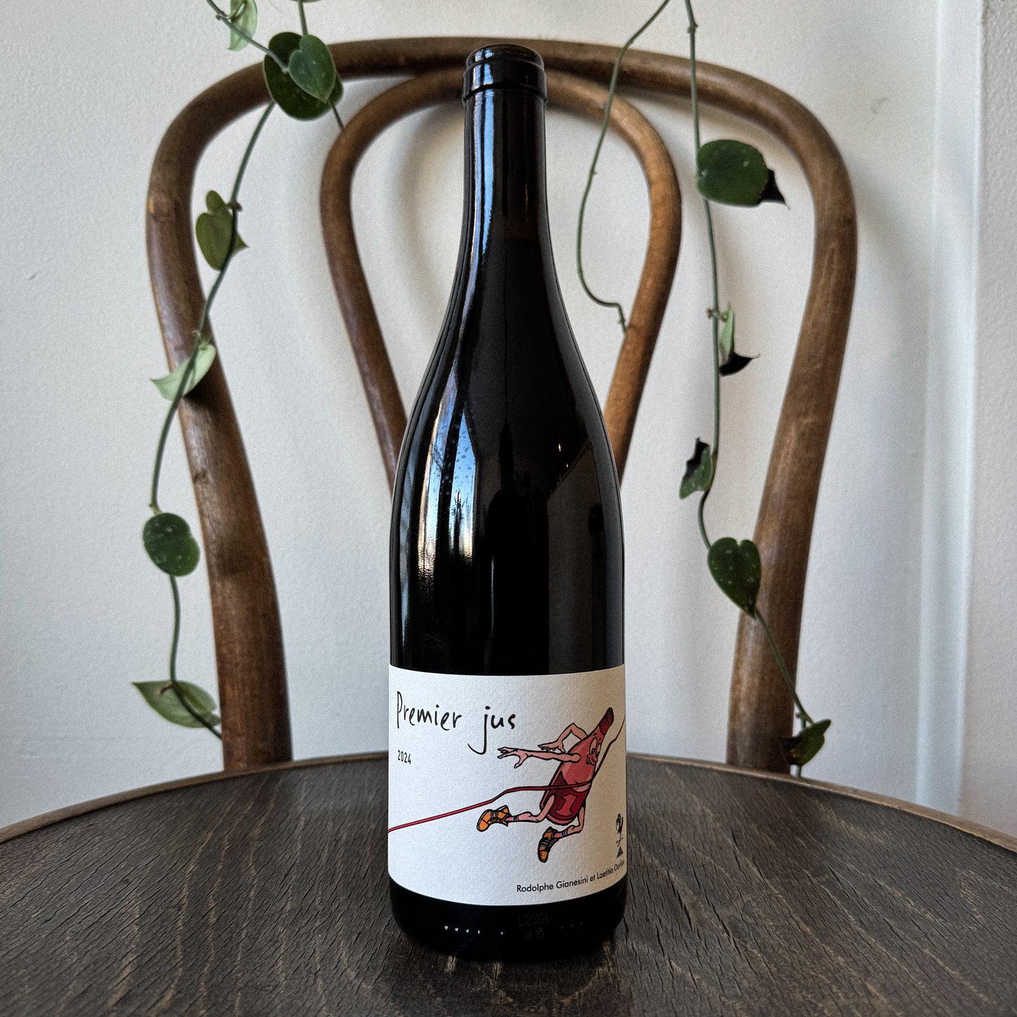 Fond Cyprès Premier Jus 2024