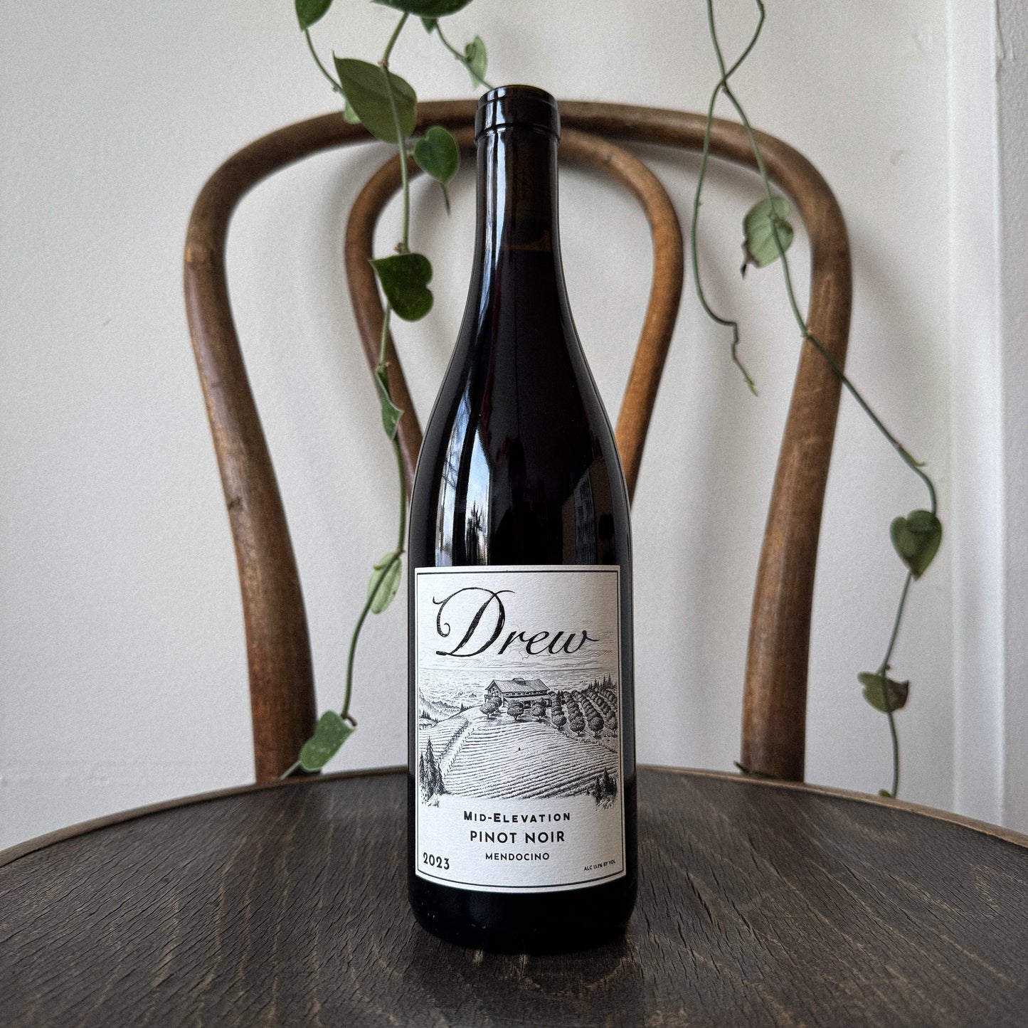 Drew Pinot Noir 2023