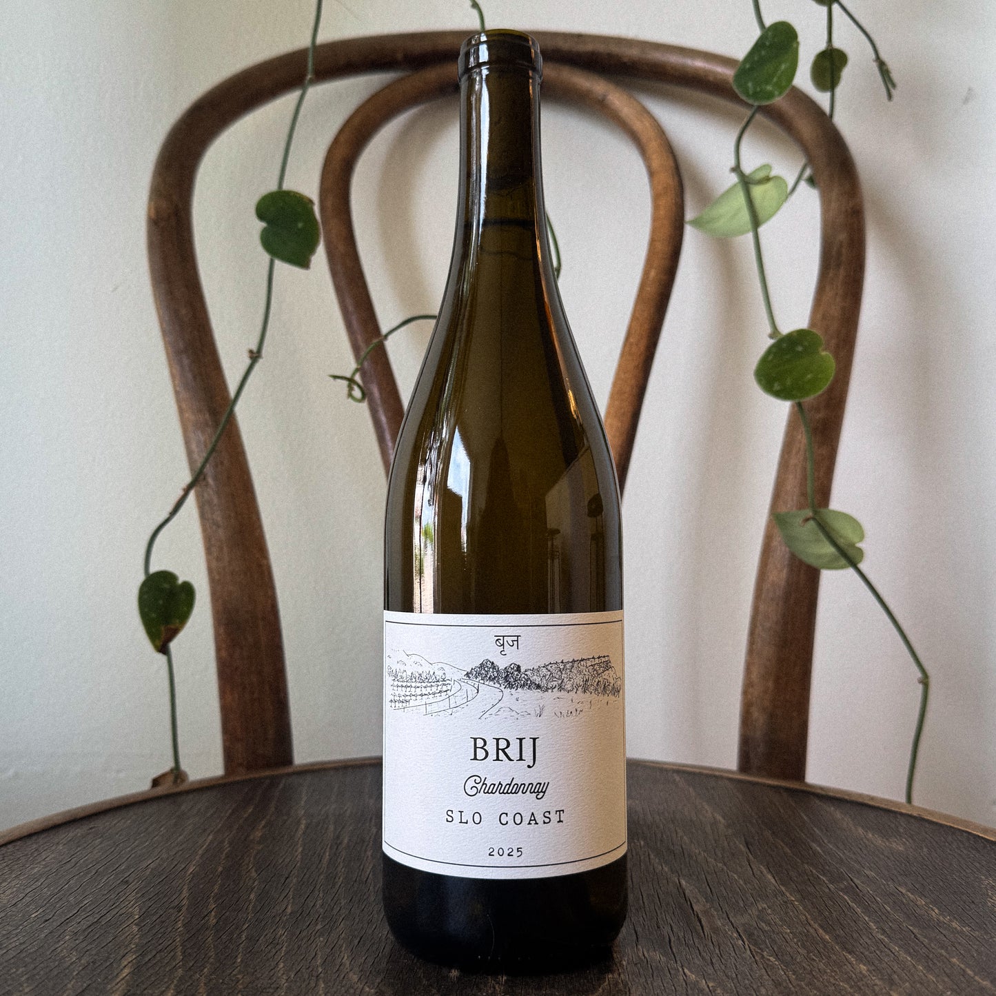 Brij Chardonnay Slo Coast 2025