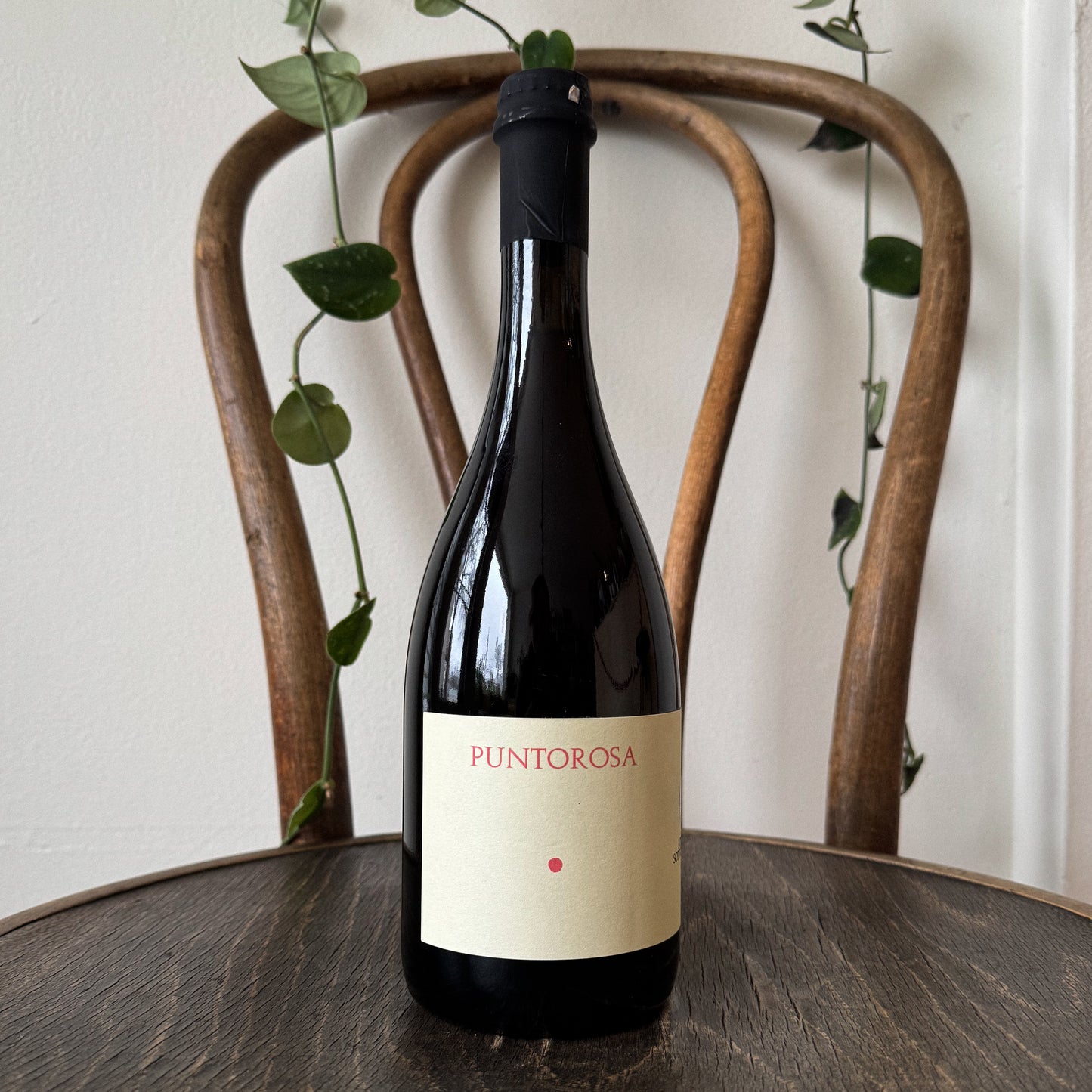 Podere Sottoilnoce Puntarosa