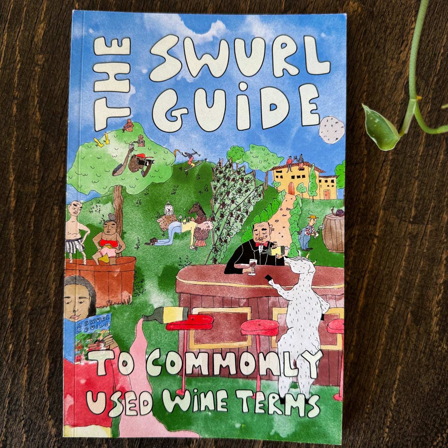 The Swurl Guide To Commonly Used Wine Terms