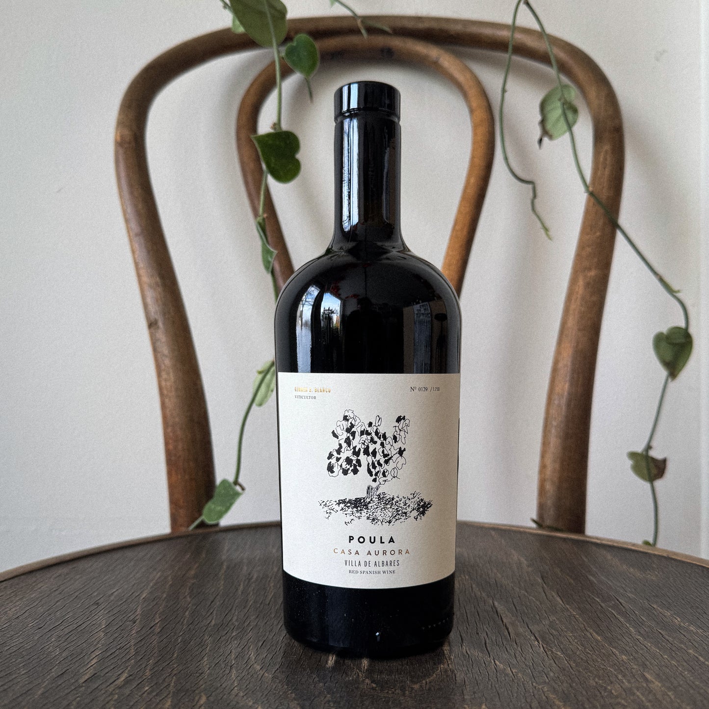 Casa Aurora Poula 2022