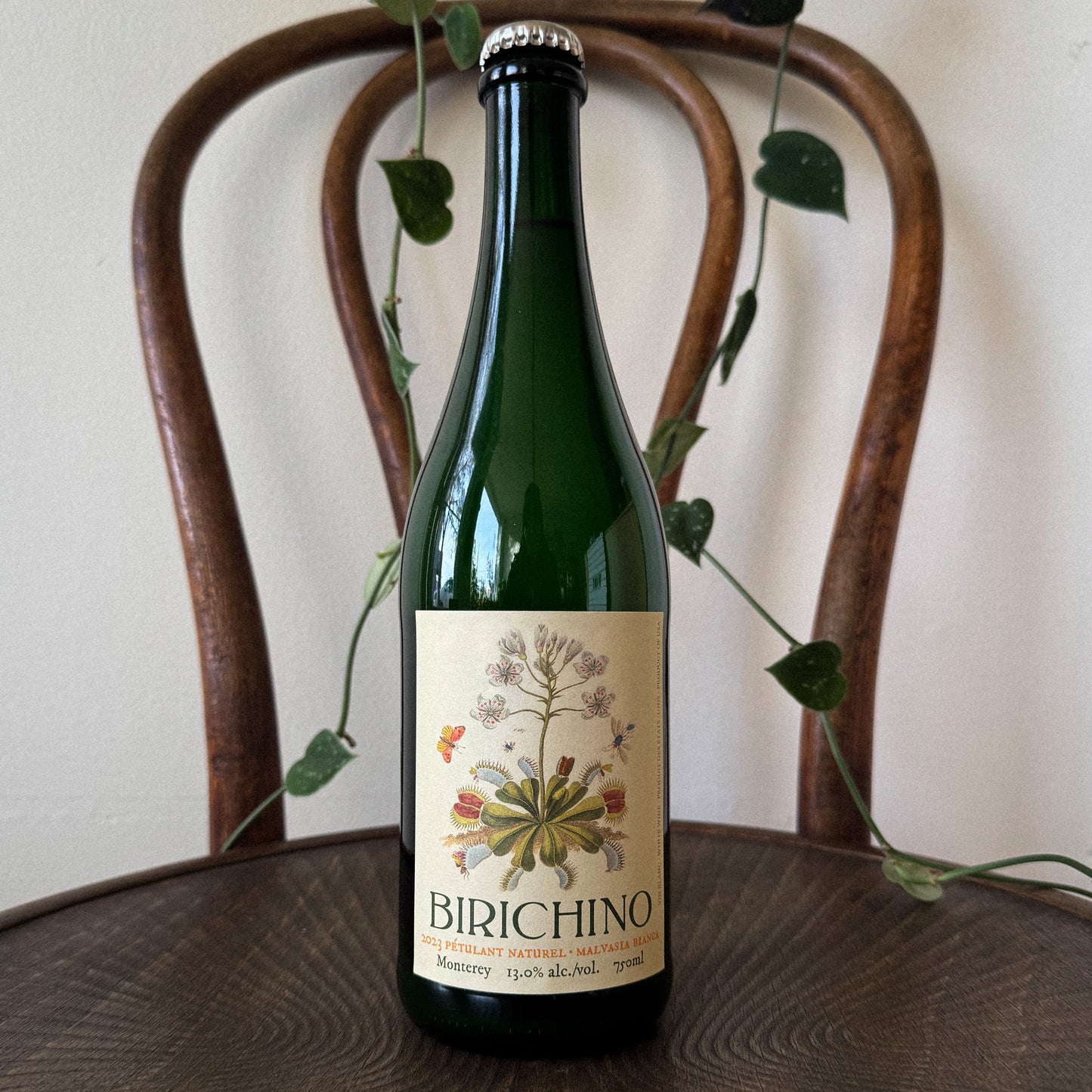 Birichino Malvasia Bianca Pet Nat 2023
