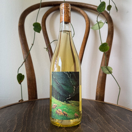 Kelley Fox Gruner Veltliner 2024