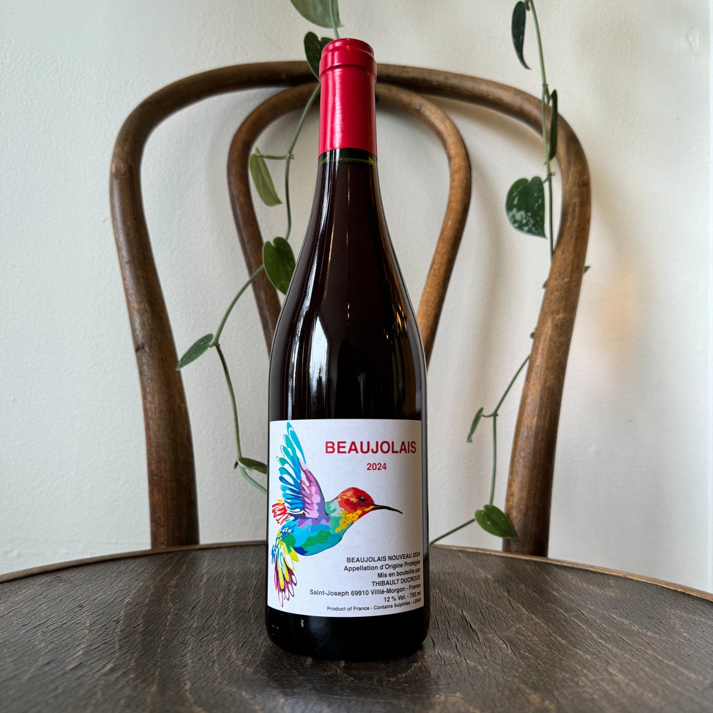 Thibault Ducroux Beaujolais Nouveau 2024