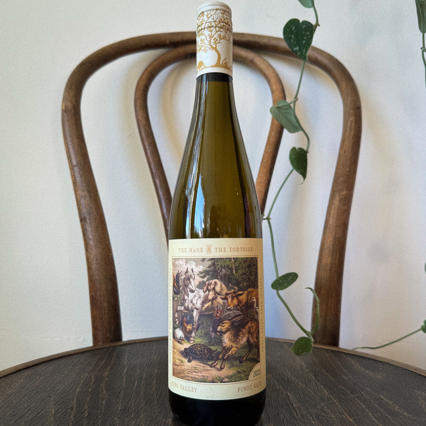 The Hare & The Tortoise Pinot Gris King Valley 2023