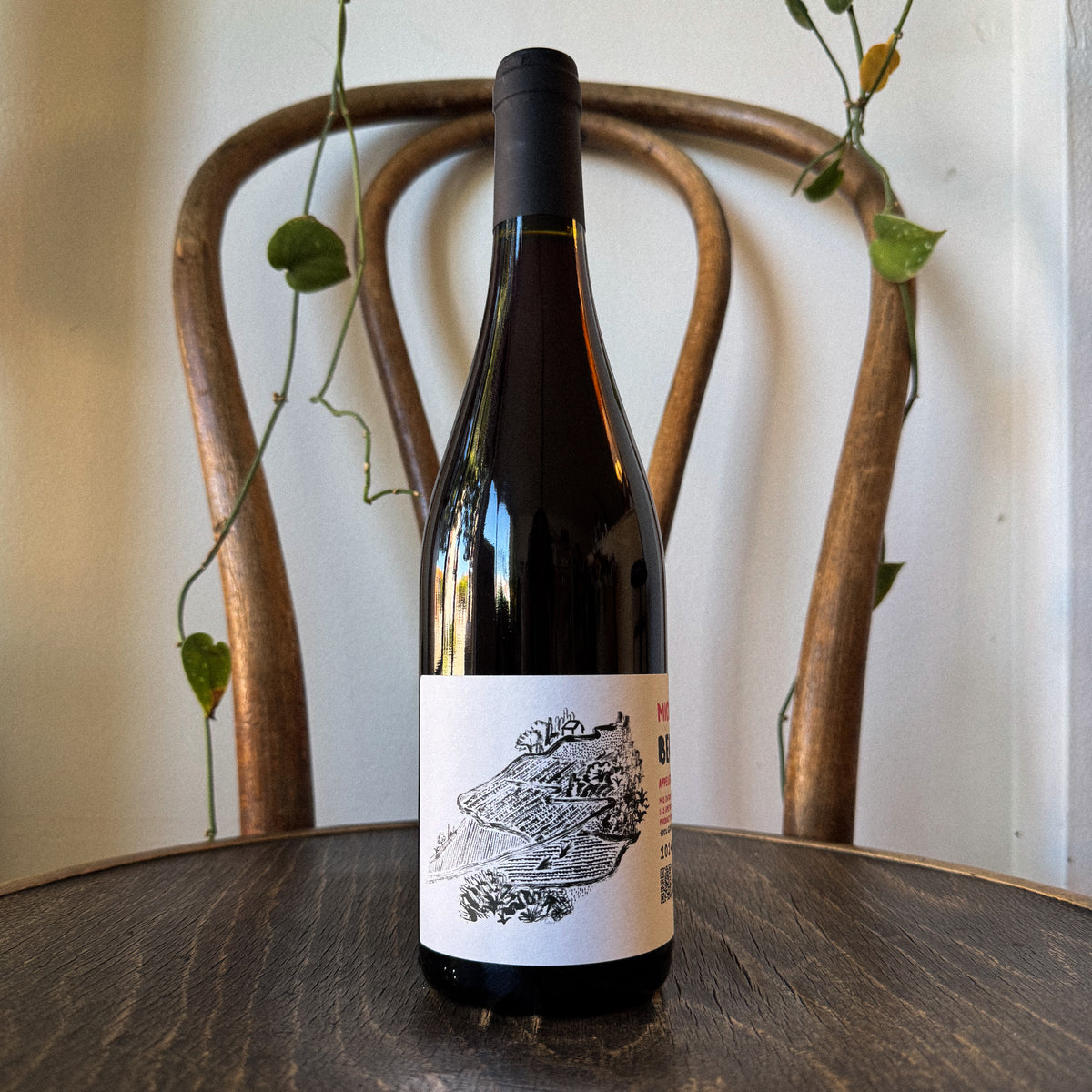 Michel Guignier Beaujolais 2024