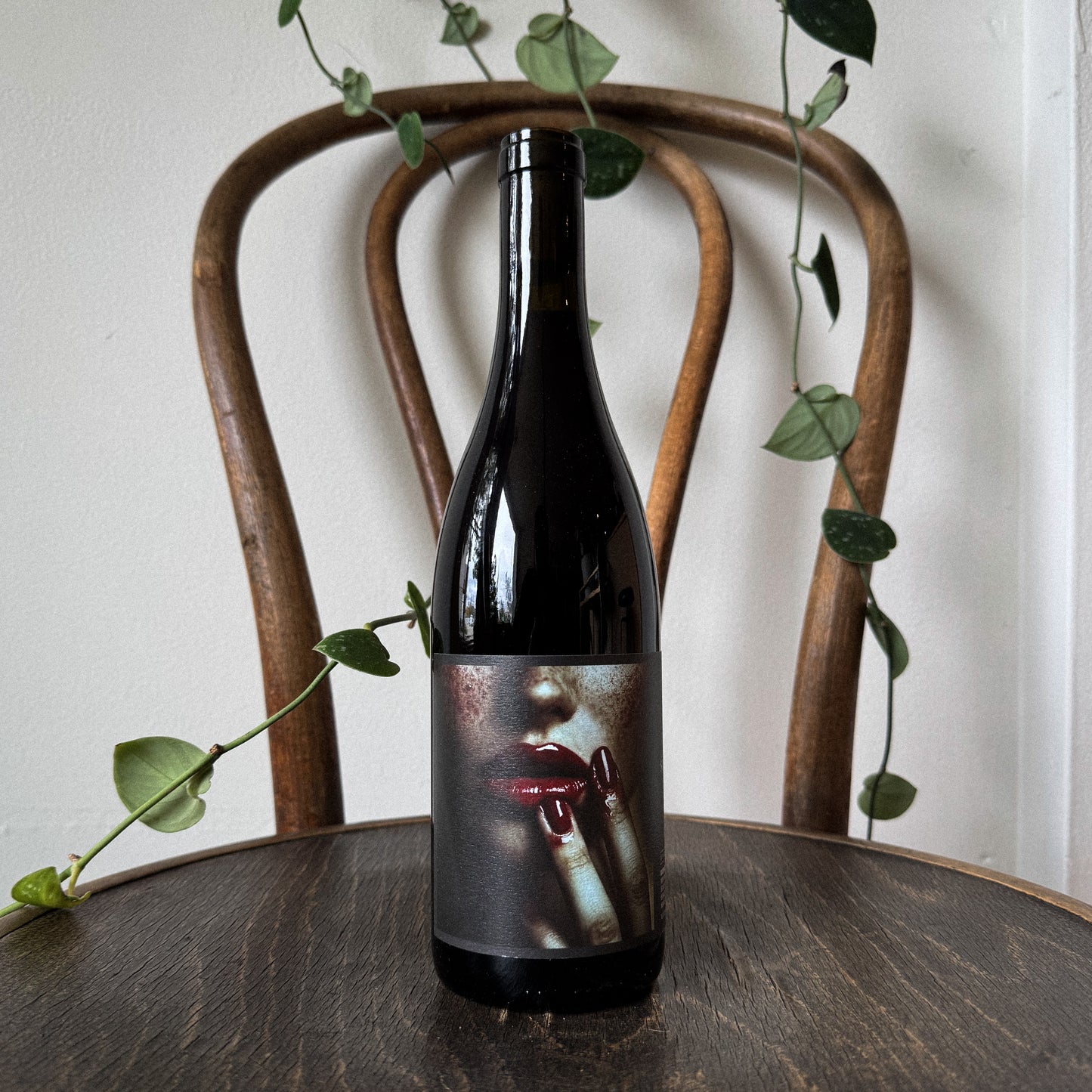 Jolie Laide Gamay 2024