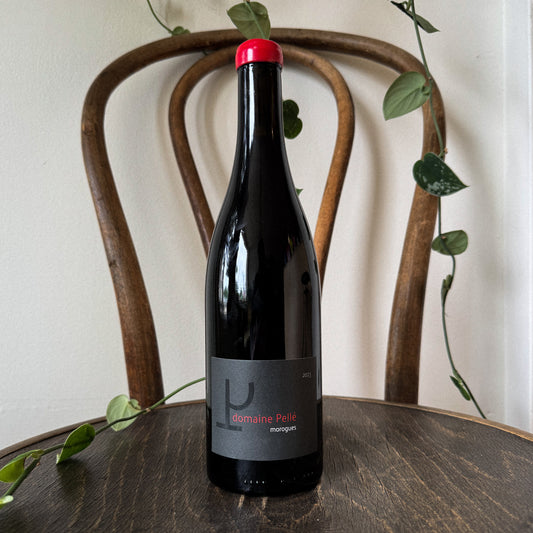 Pelle Menetou-Salon Rouge 2023