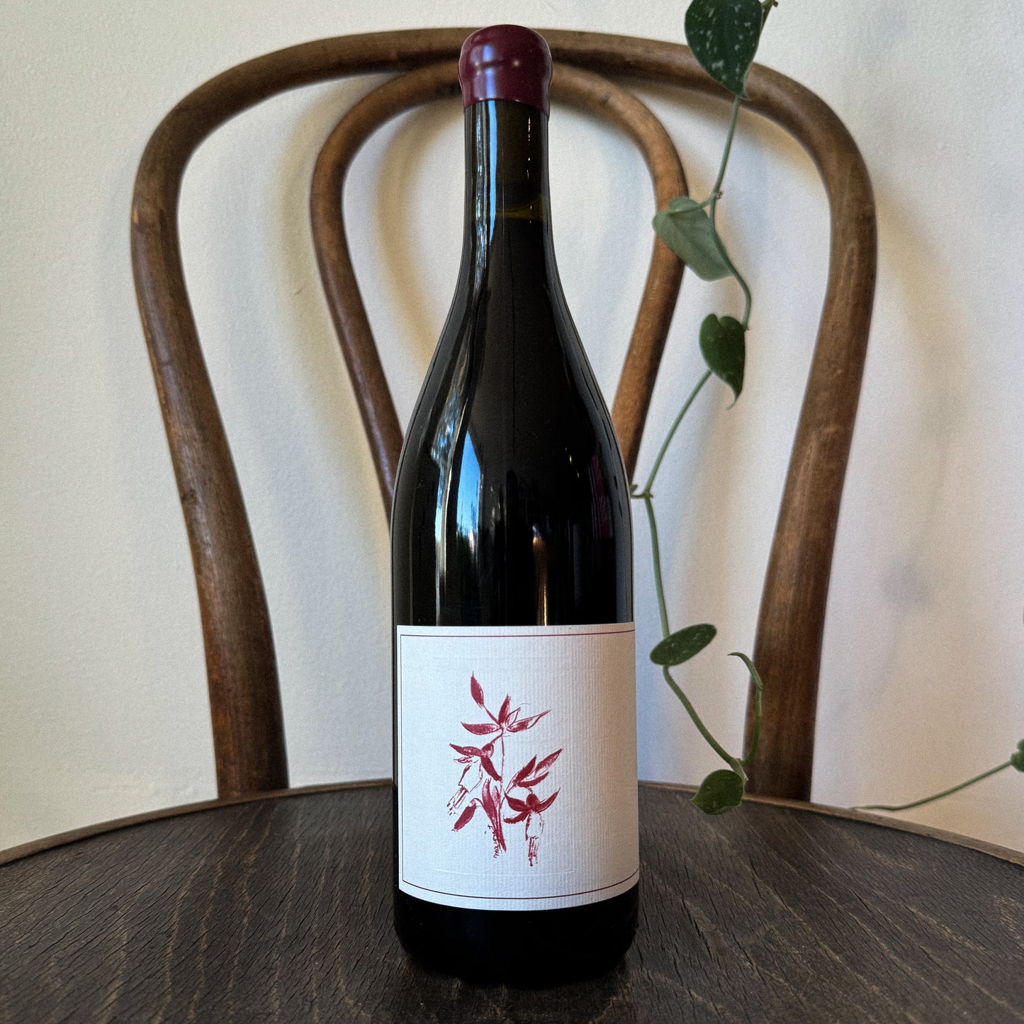 Arnot Roberts Syrah Que Vineyard Sonoma Coast 2022