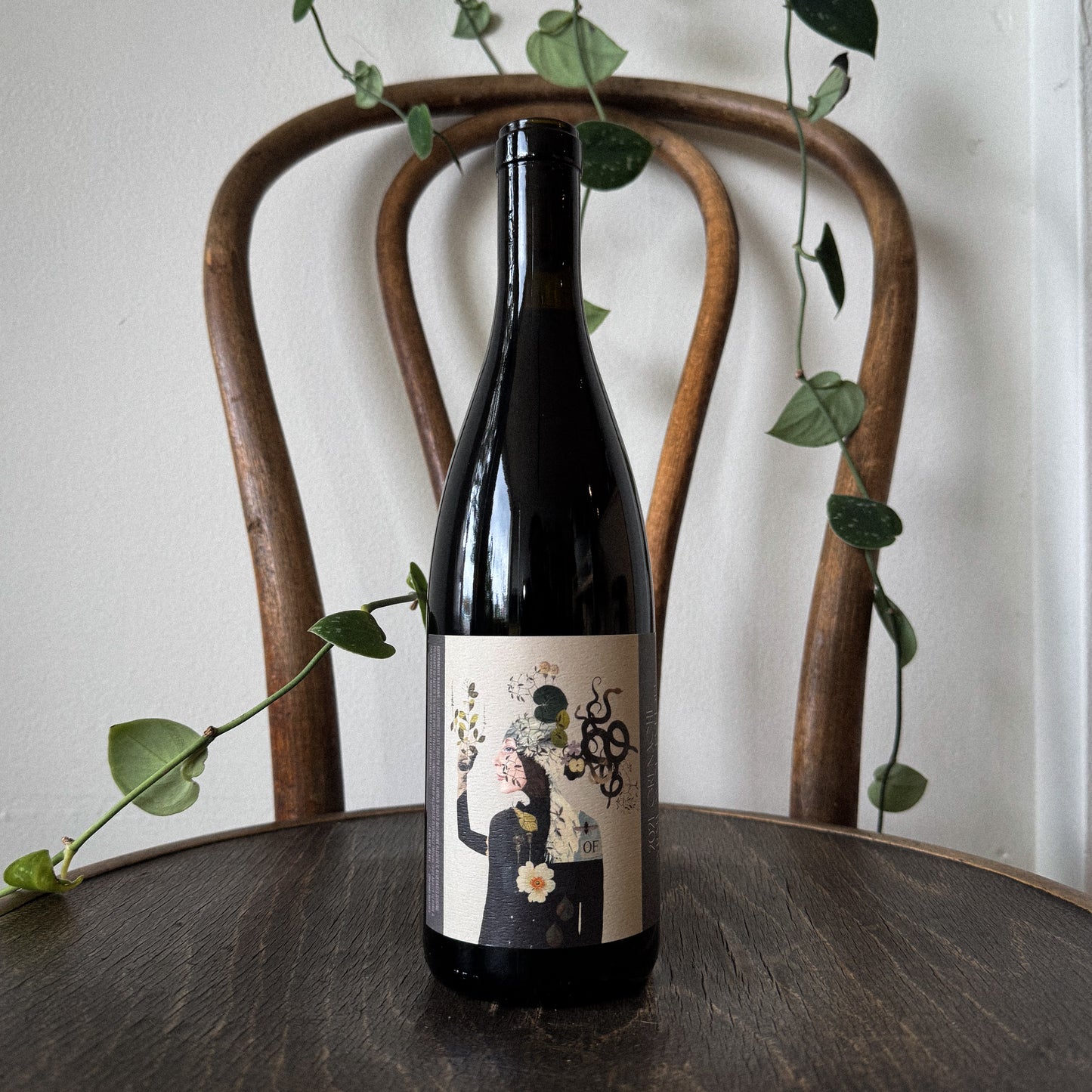 Jolie Laide GSM 2021