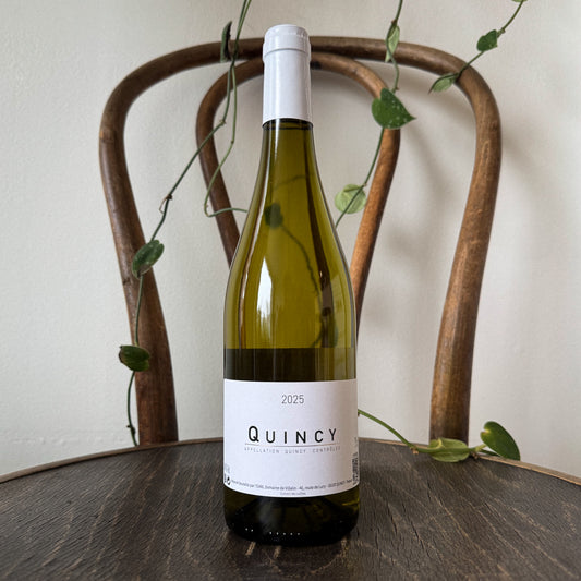 Domaine de Villalin Quincy 2025