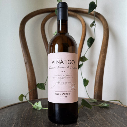 Vinatigo Listan Blanco 2024